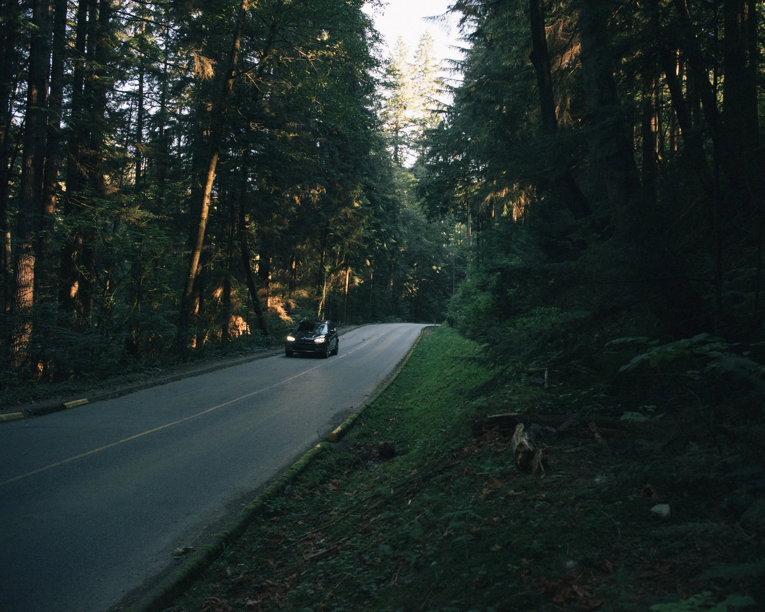 Morgan Phillips Photography-1011.jpg