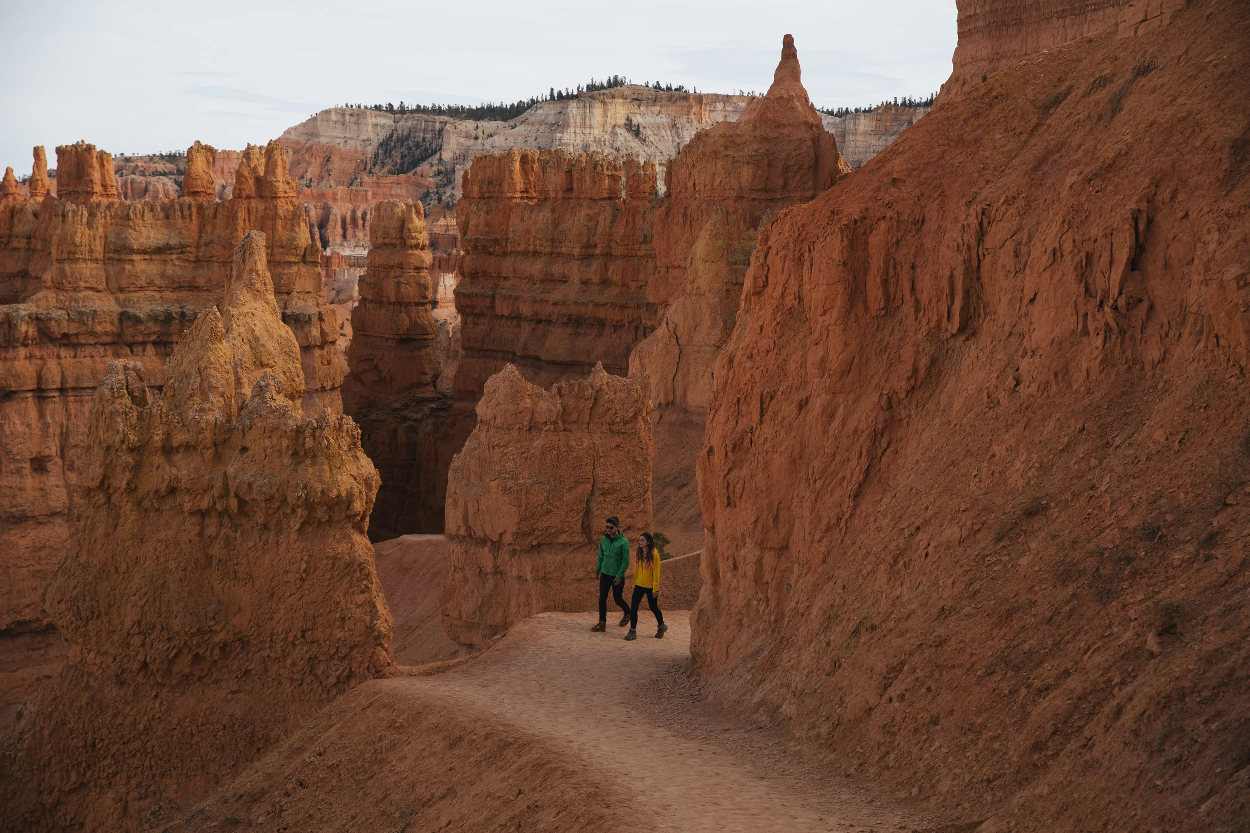Morgan Phillips Photography--3.jpg
