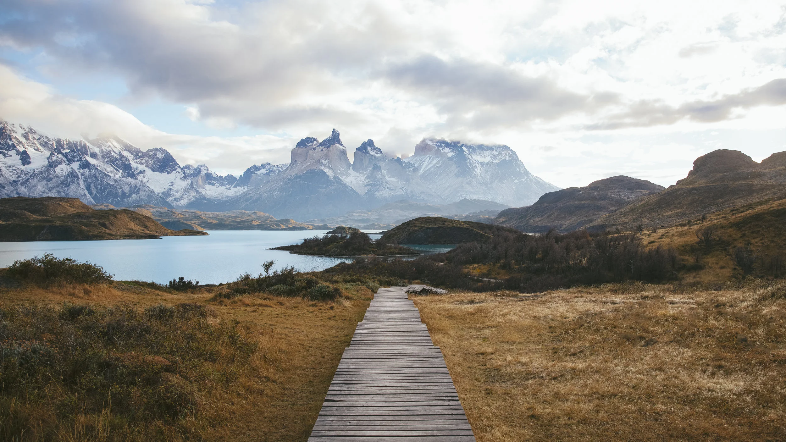 Morgan Phillips Photography--2.jpg