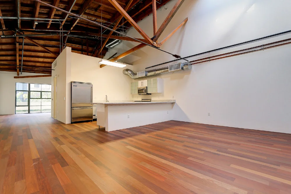 Landrum - 1046 Princeton Unit 203_Living room2.jpg