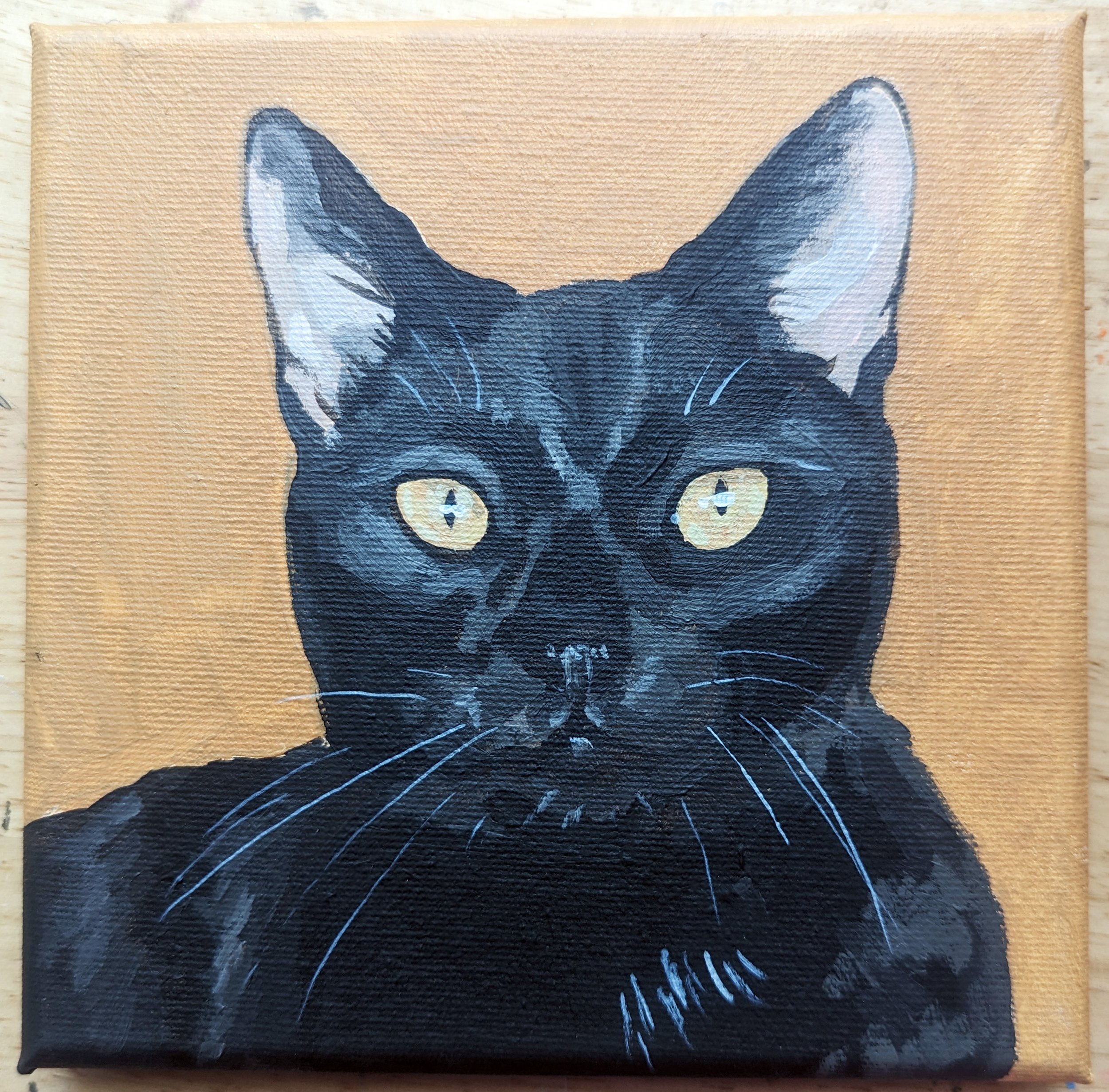 black cat 1.jpg
