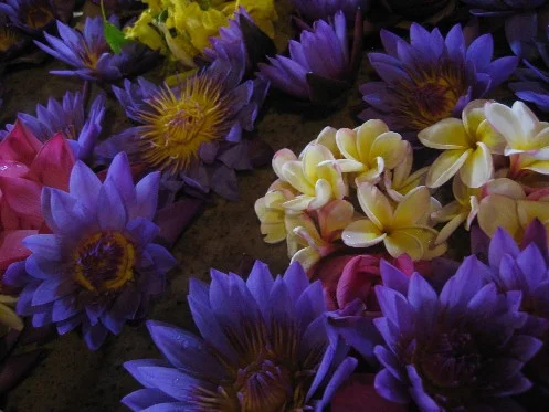 flower power