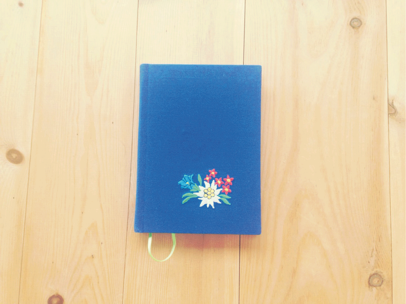 gif_33einldg.gif