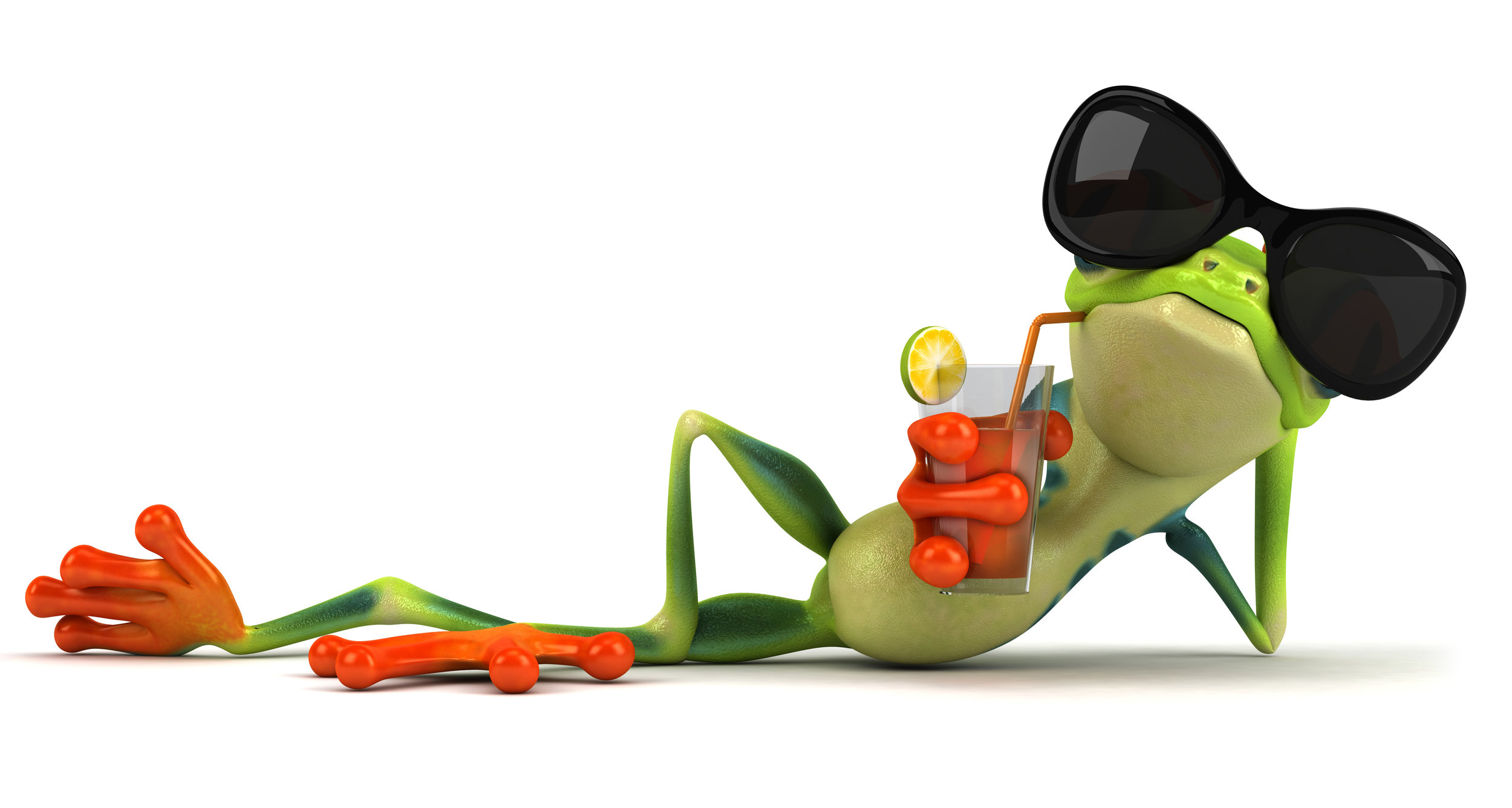 Plank Drinking Frog.jpeg