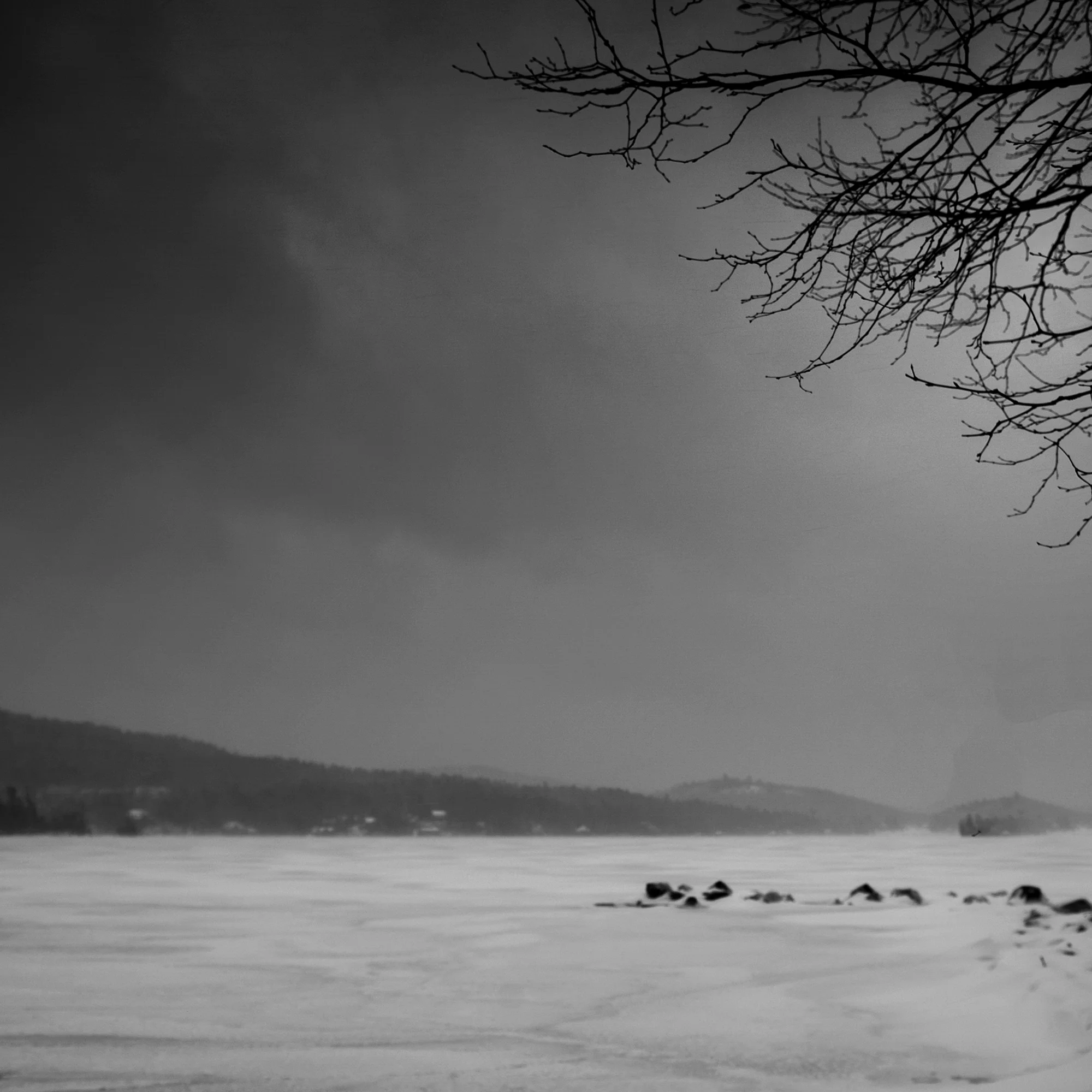 flip1DSC_1048 copy.jpg