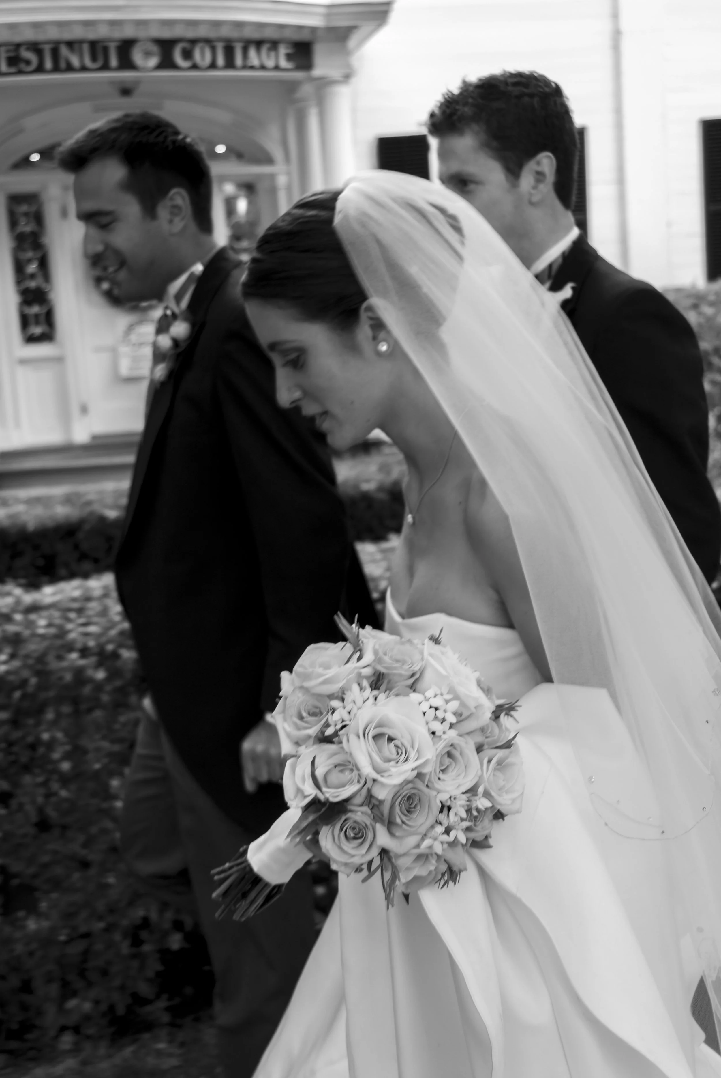 AAA_0479-NEF_DxO_DeepPRIME copy.jpg