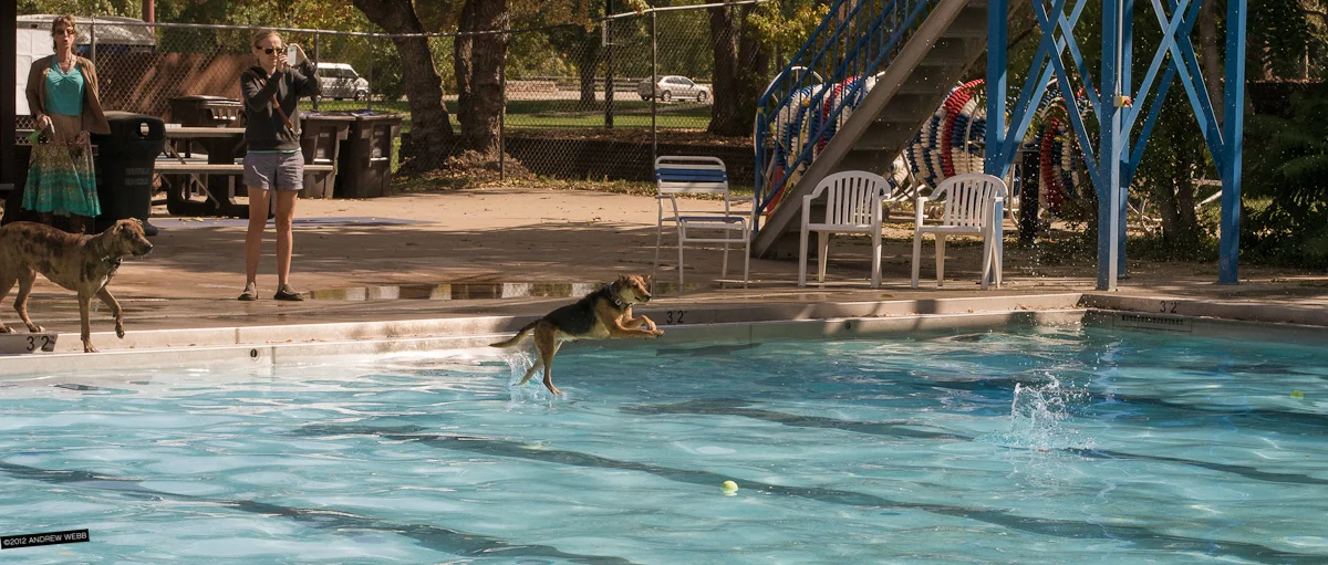 jesus walking on the water