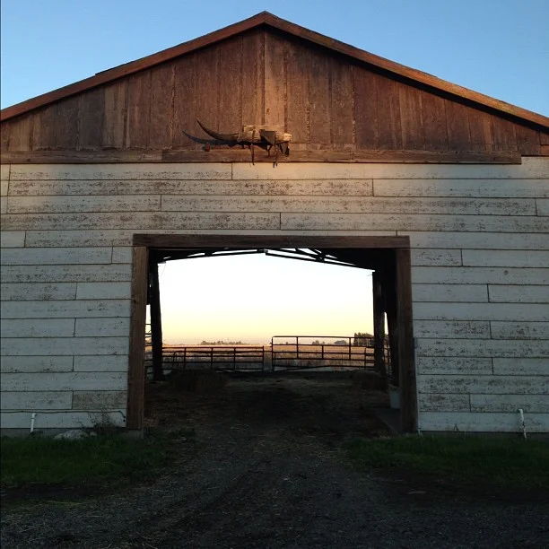 Barn.jpg