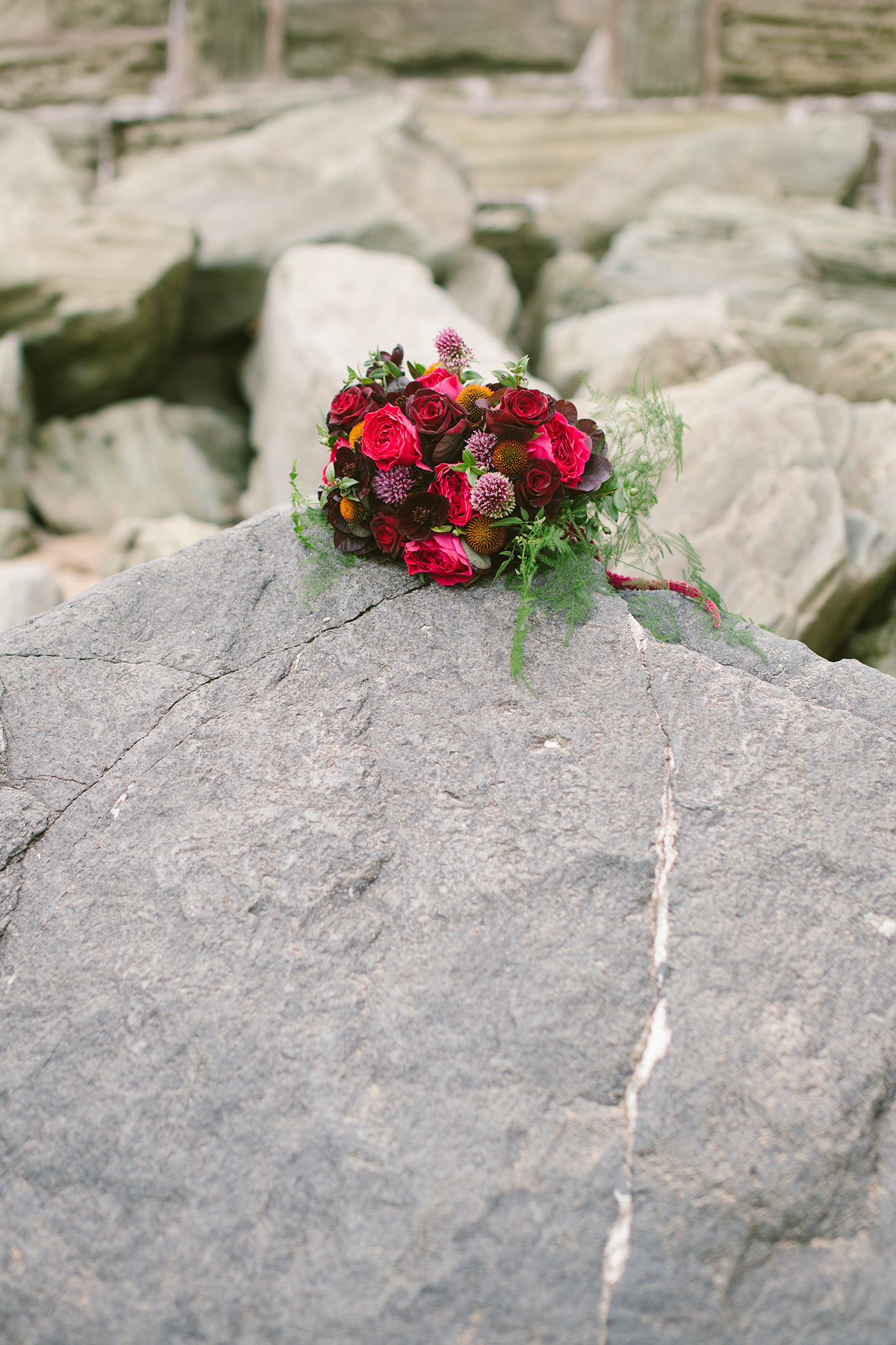 IMG_7795-.png