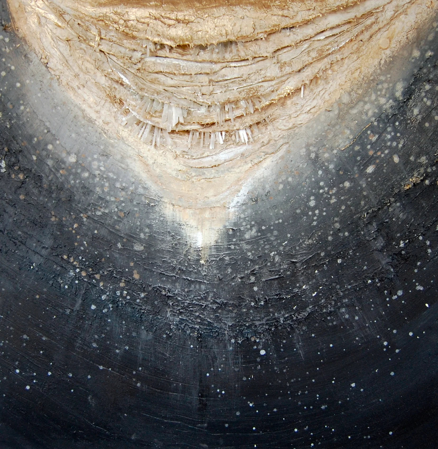 Courageous Attempt - Sarah Raskey Fine Art