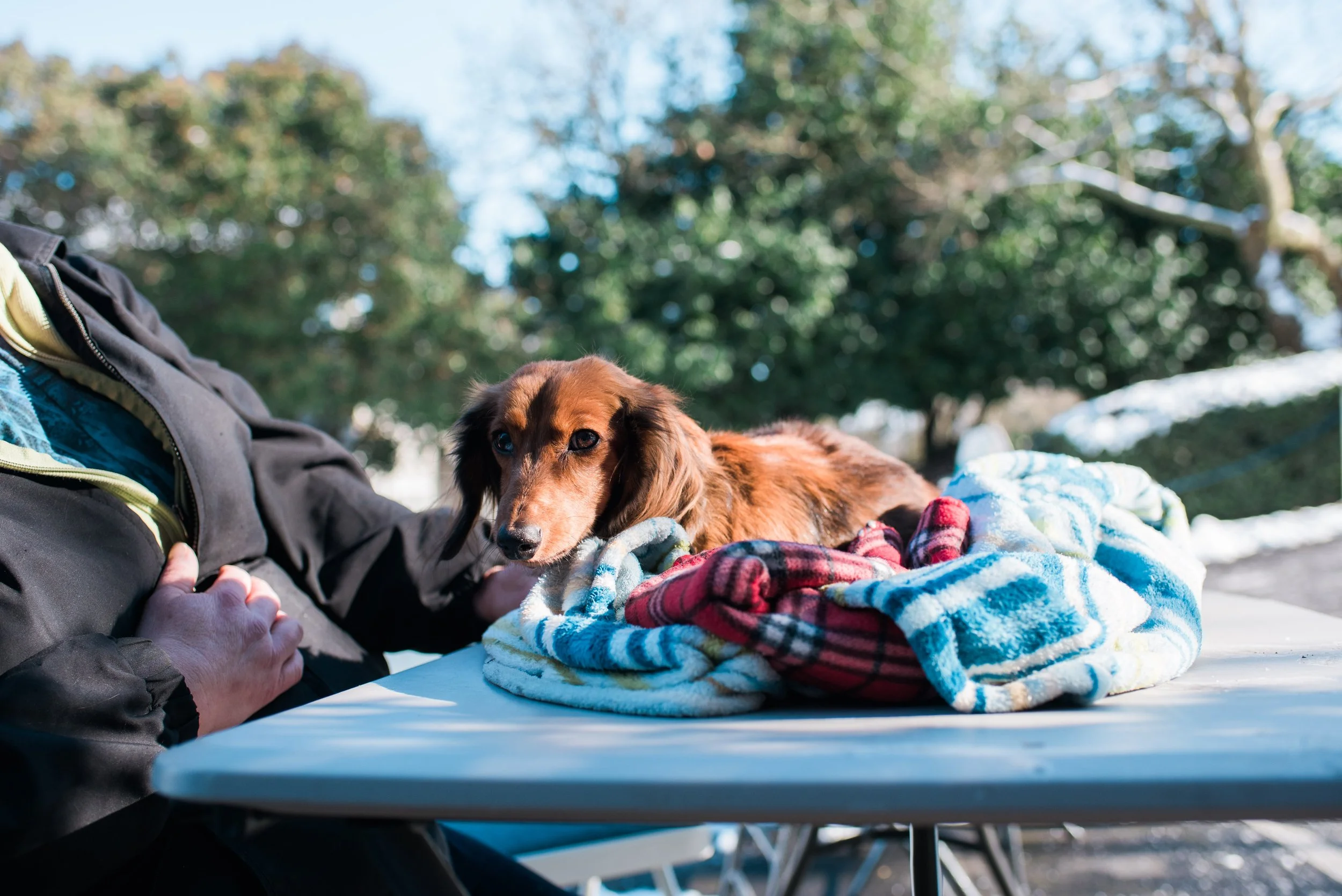 Clinic - Feb2019-69.jpg