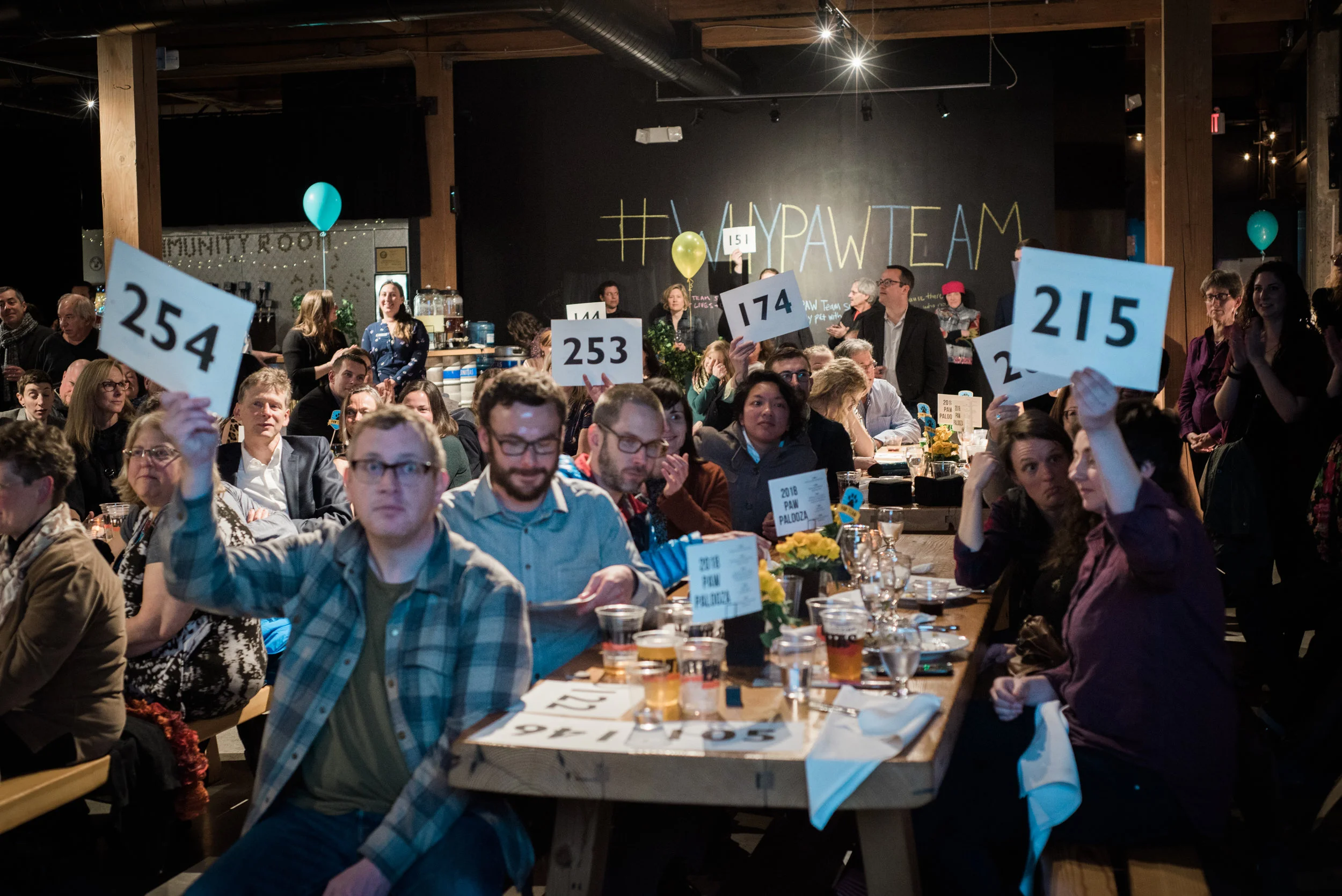 PAWpalooza-167.jpg