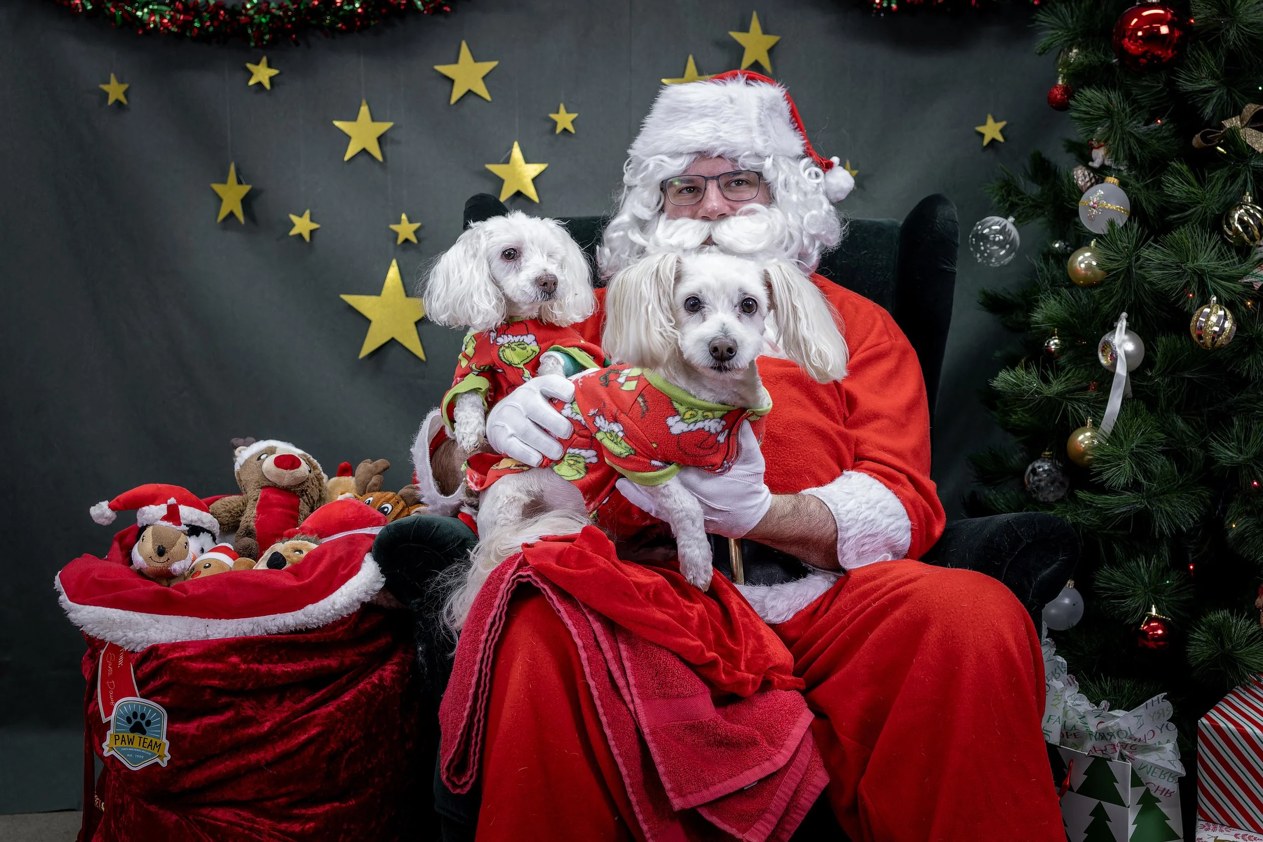 120725_PAWTeam_SantaPaws-003.jpg