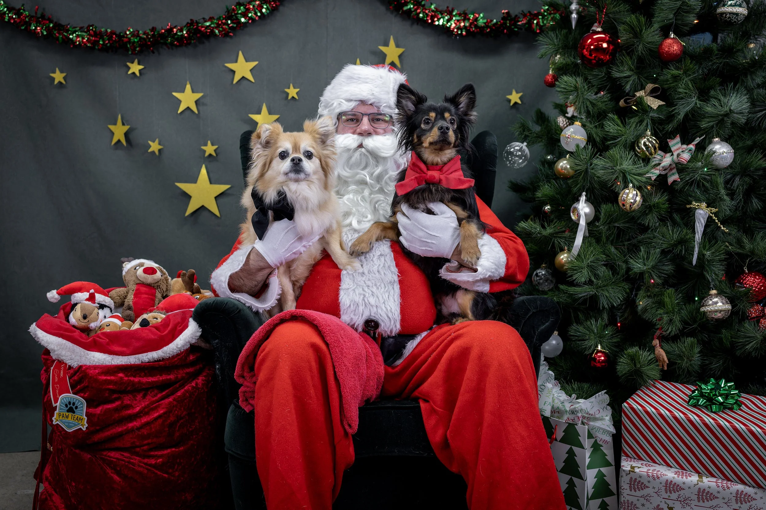 120725_PAWTeam_SantaPaws-006.jpg