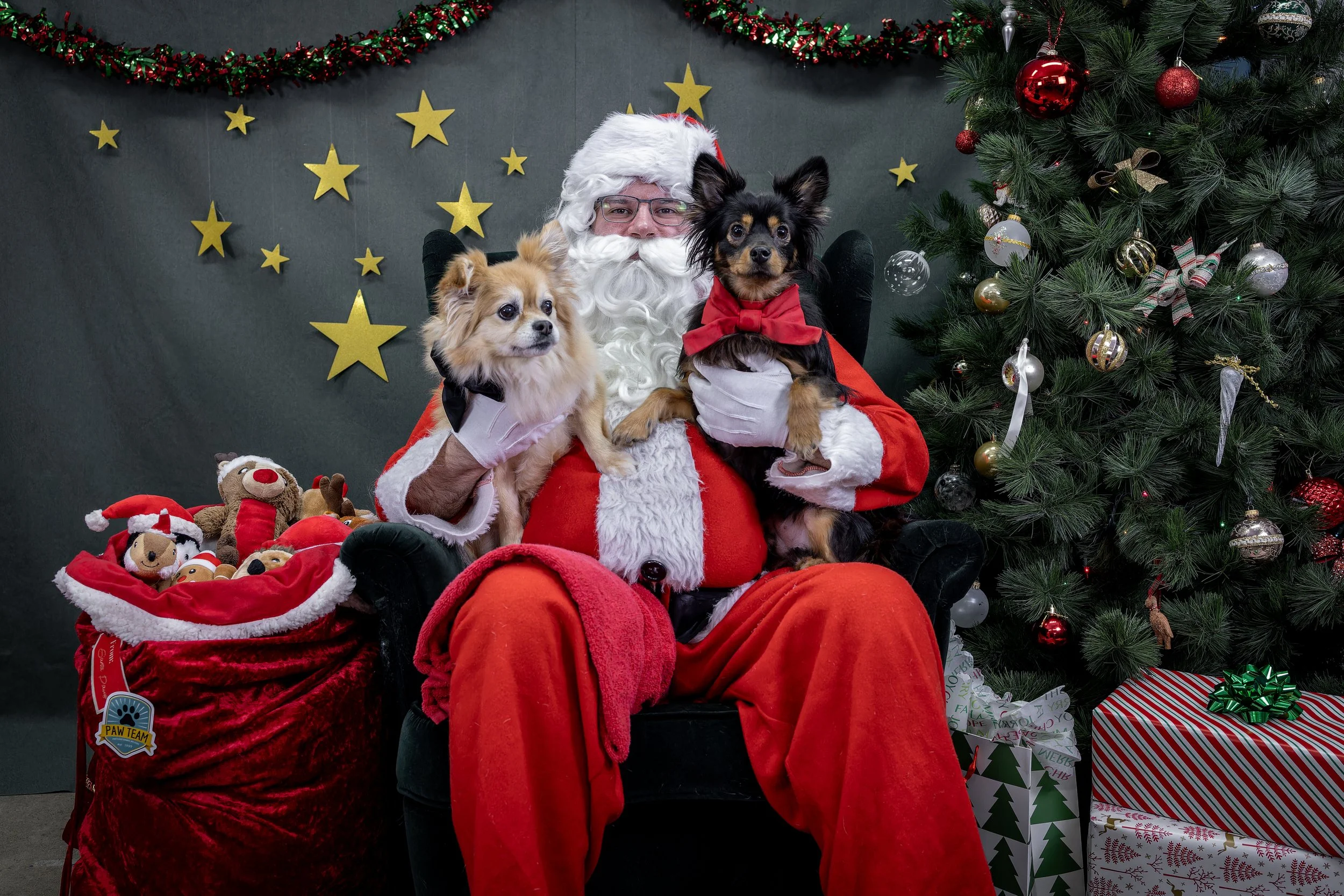 120725_PAWTeam_SantaPaws-008.jpg