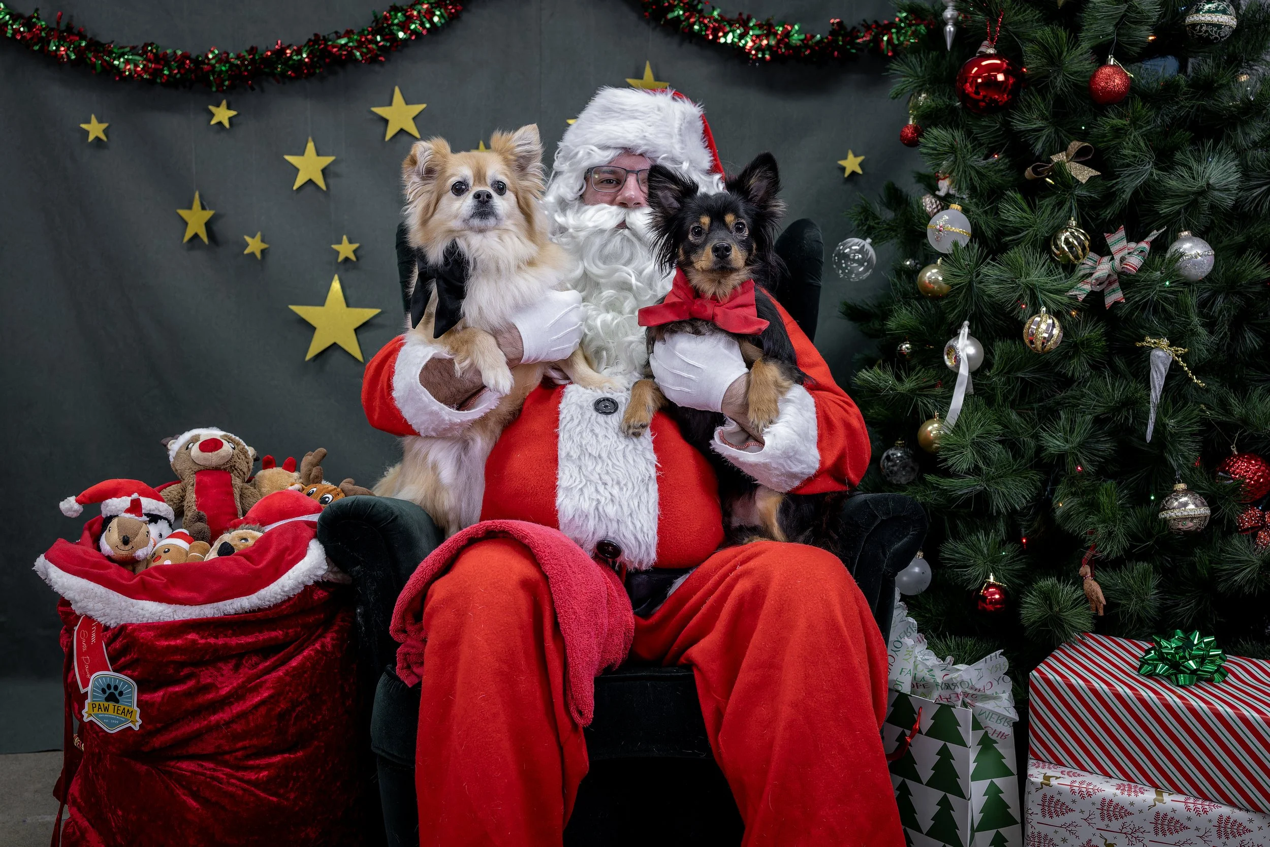 120725_PAWTeam_SantaPaws-009.jpg