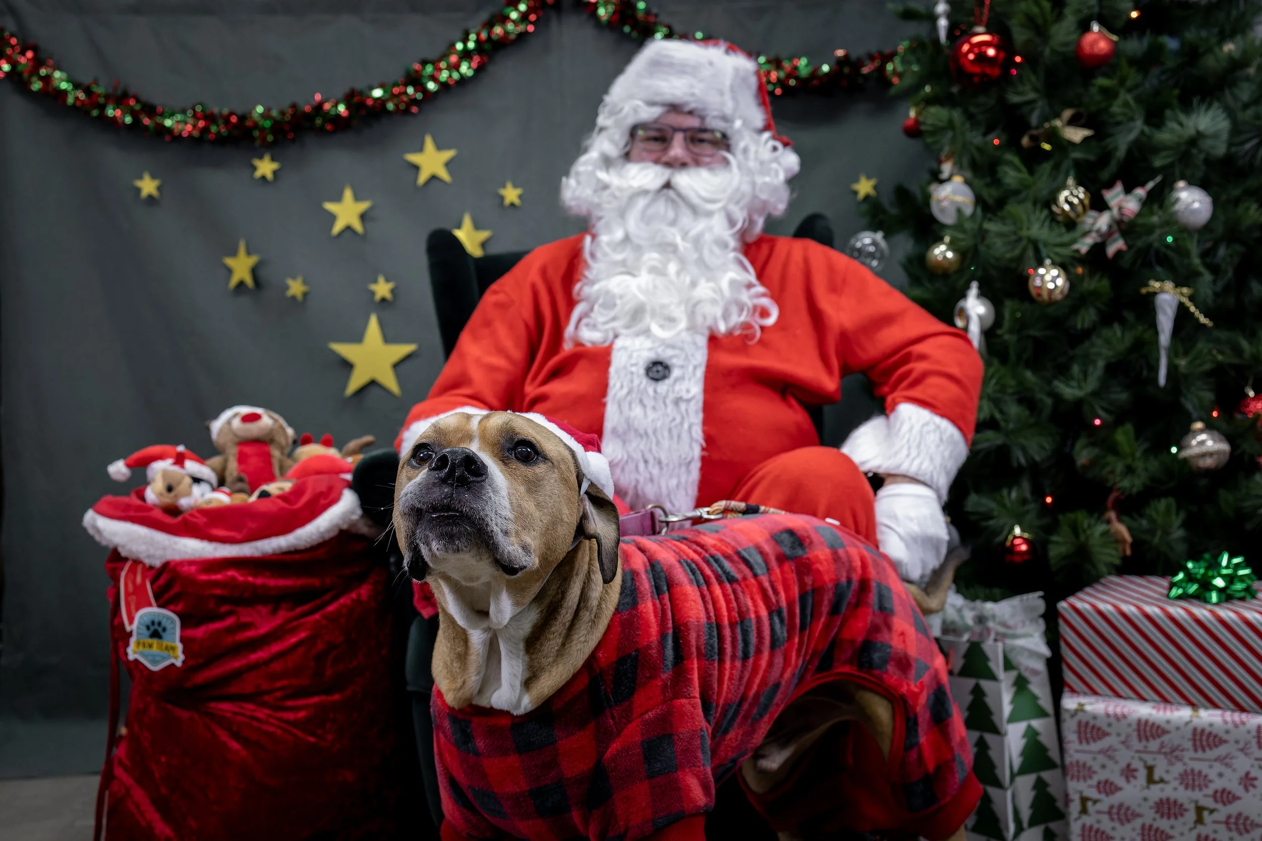120725_PAWTeam_SantaPaws-011.jpg