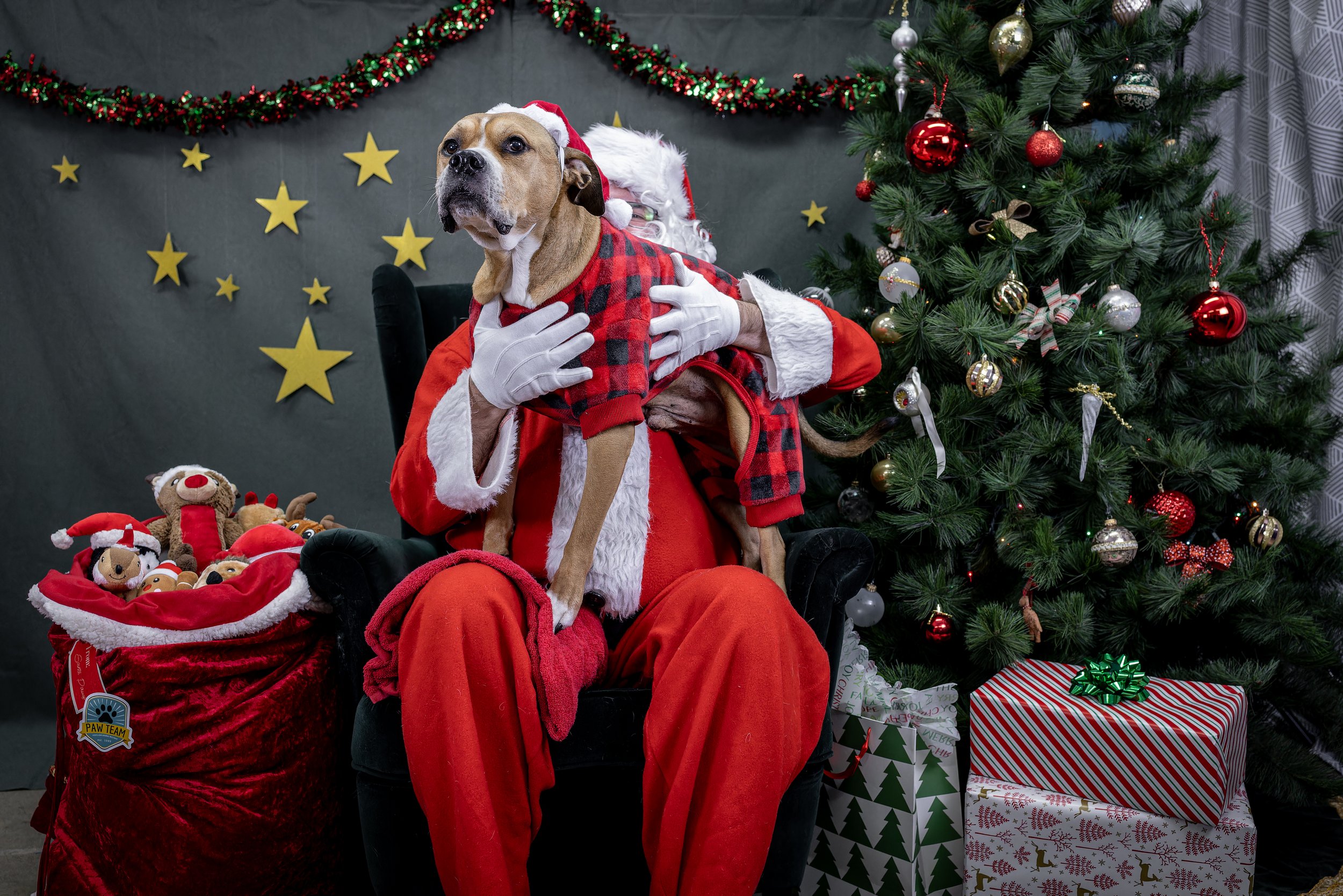 120725_PAWTeam_SantaPaws-012.jpg