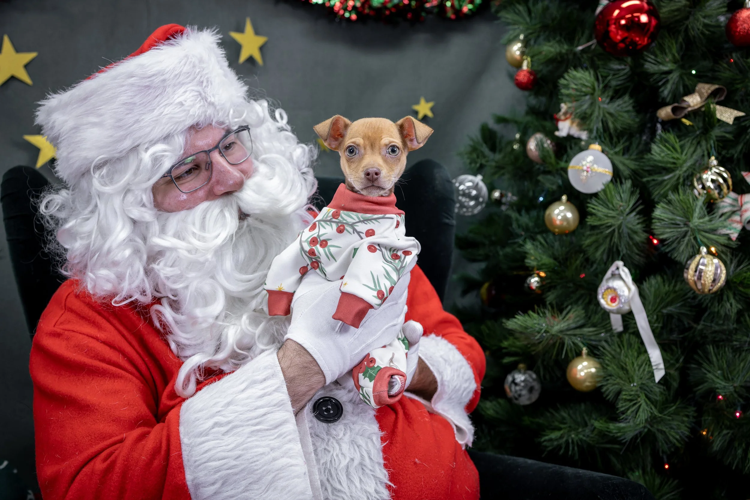 120725_PAWTeam_SantaPaws-014.jpg
