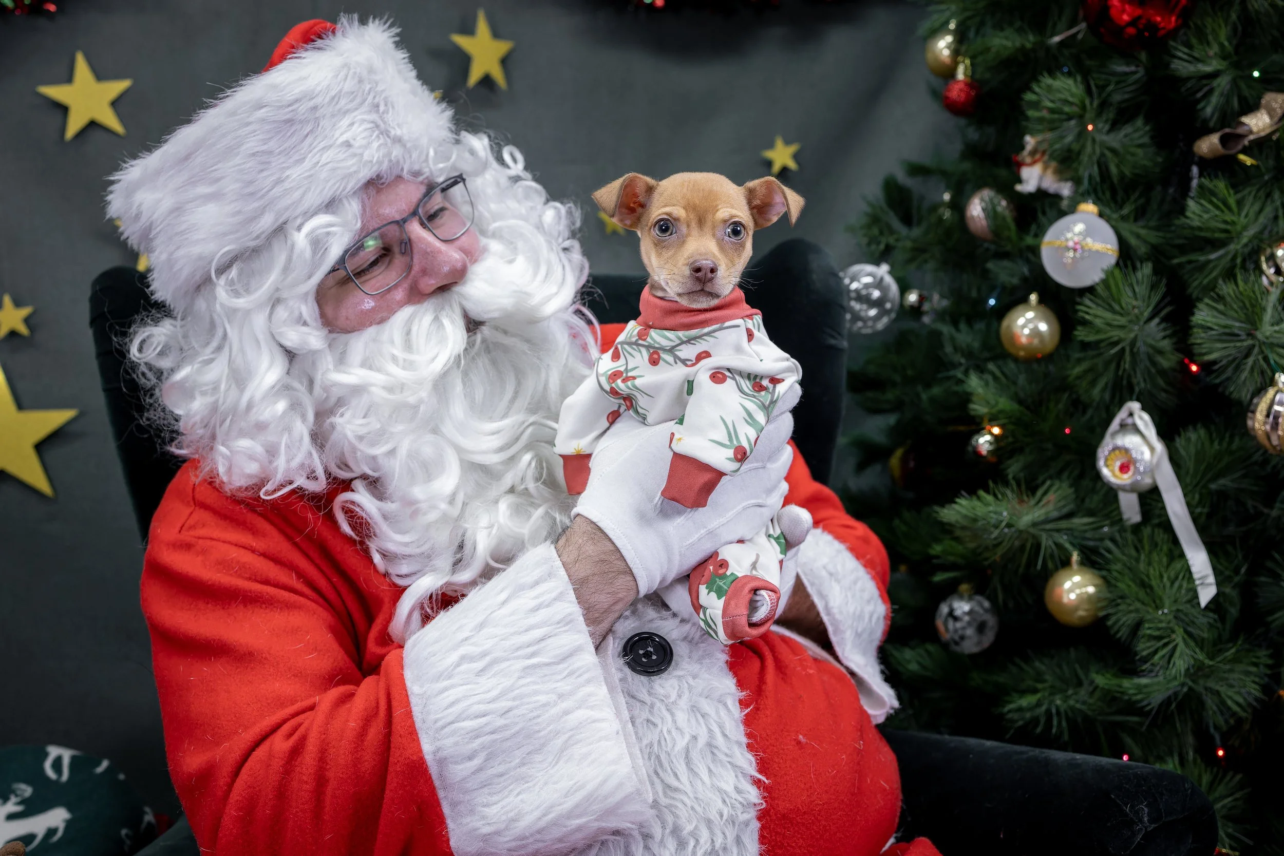 120725_PAWTeam_SantaPaws-015.jpg