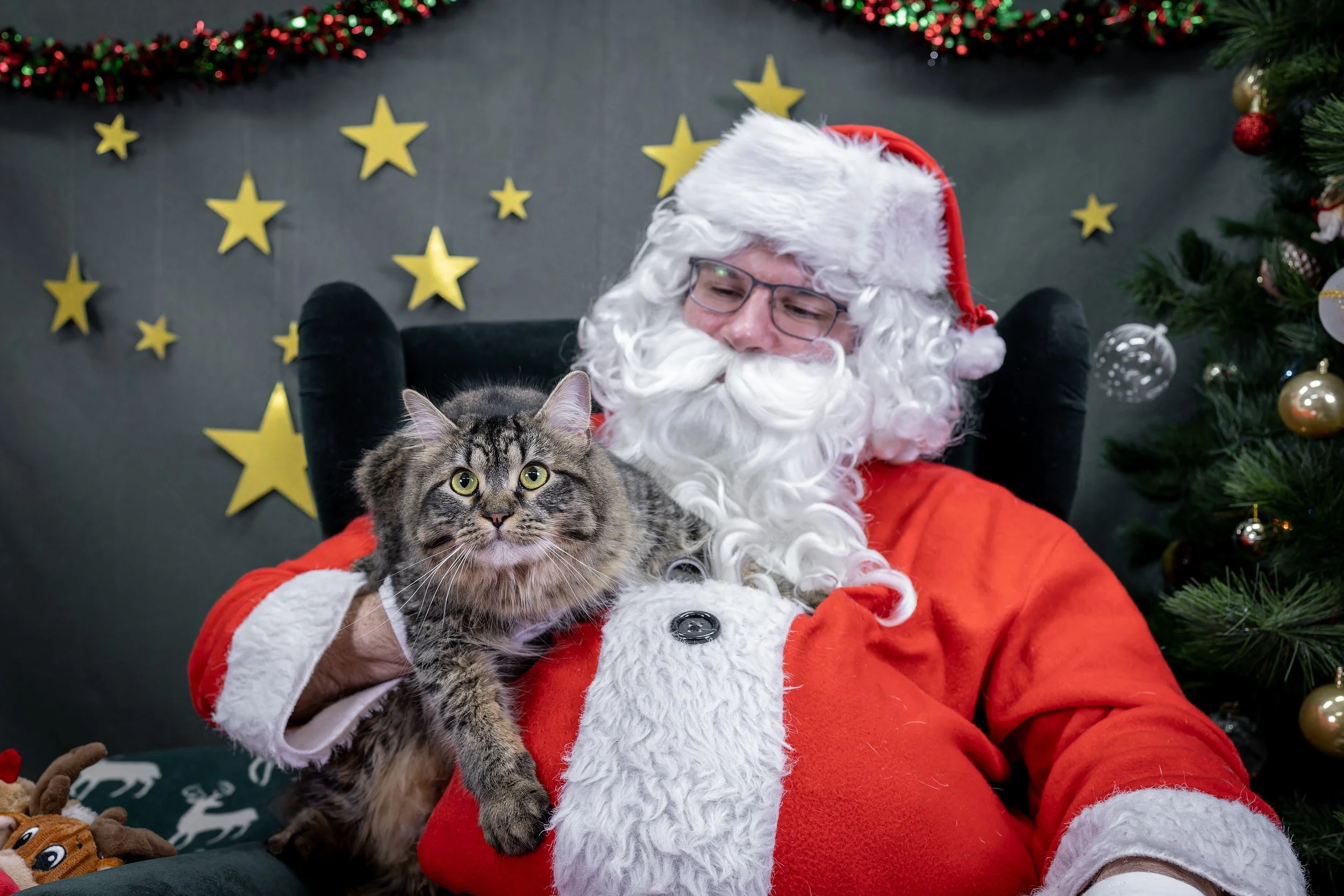 120725_PAWTeam_SantaPaws-018.jpg