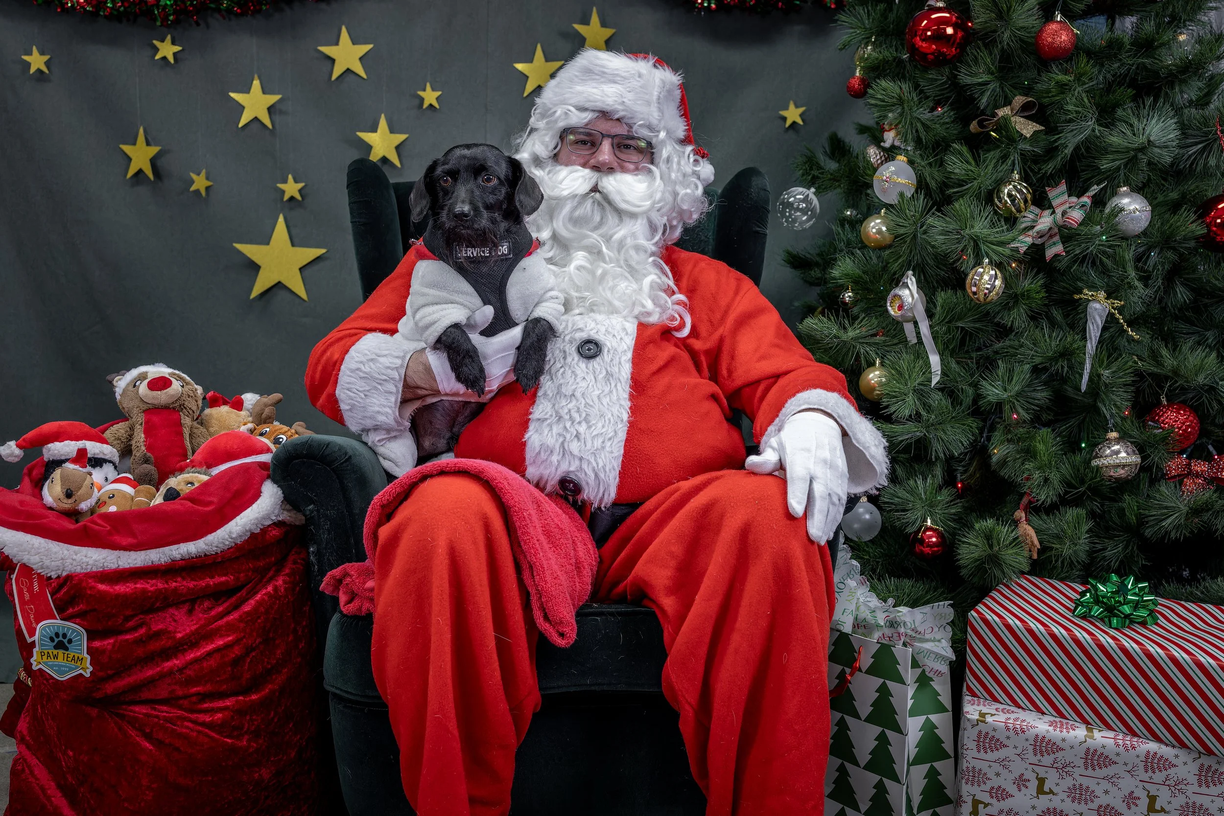 120725_PAWTeam_SantaPaws-021.jpg