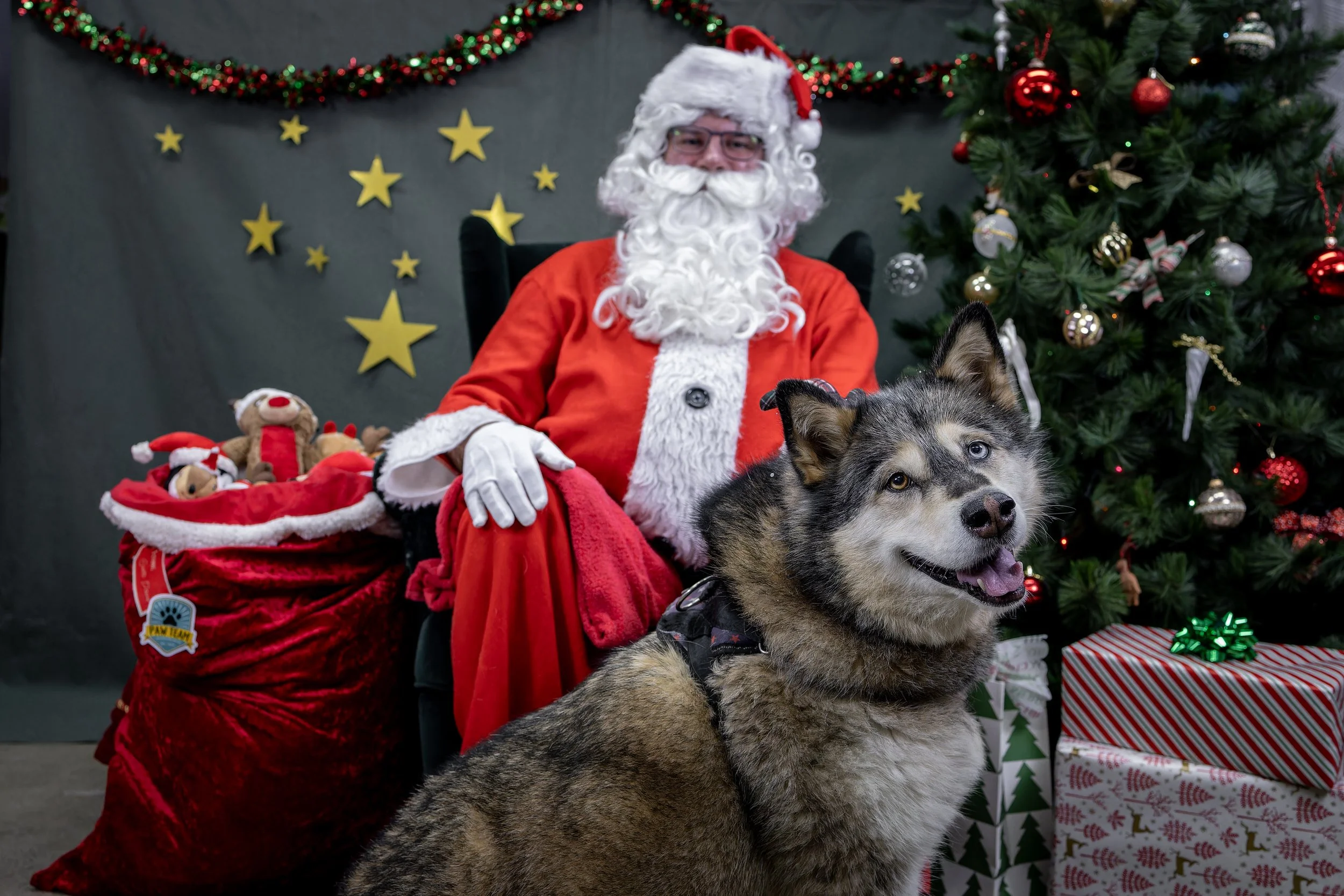 120725_PAWTeam_SantaPaws-023.jpg