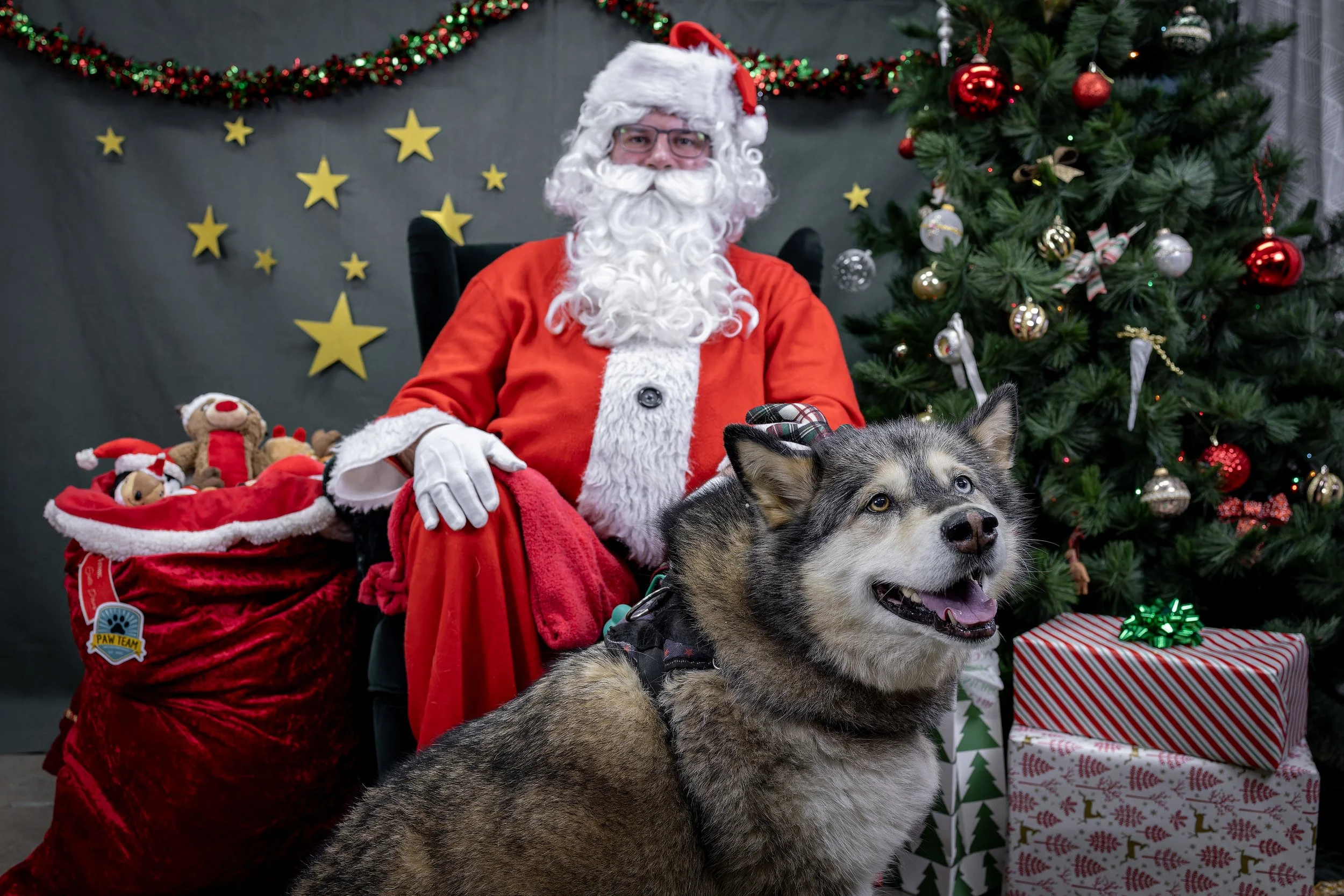 120725_PAWTeam_SantaPaws-024.jpg