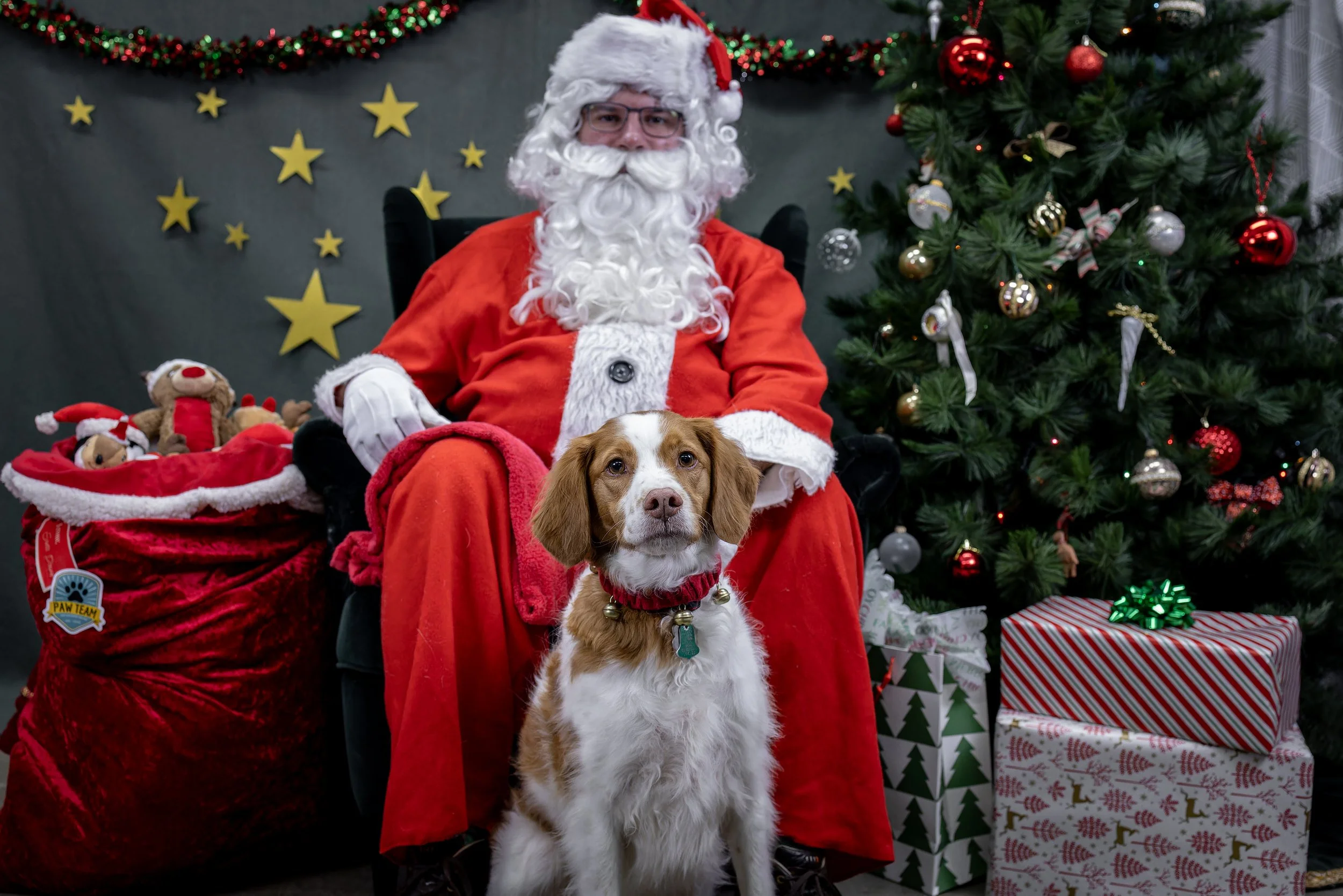 120725_PAWTeam_SantaPaws-026.jpg