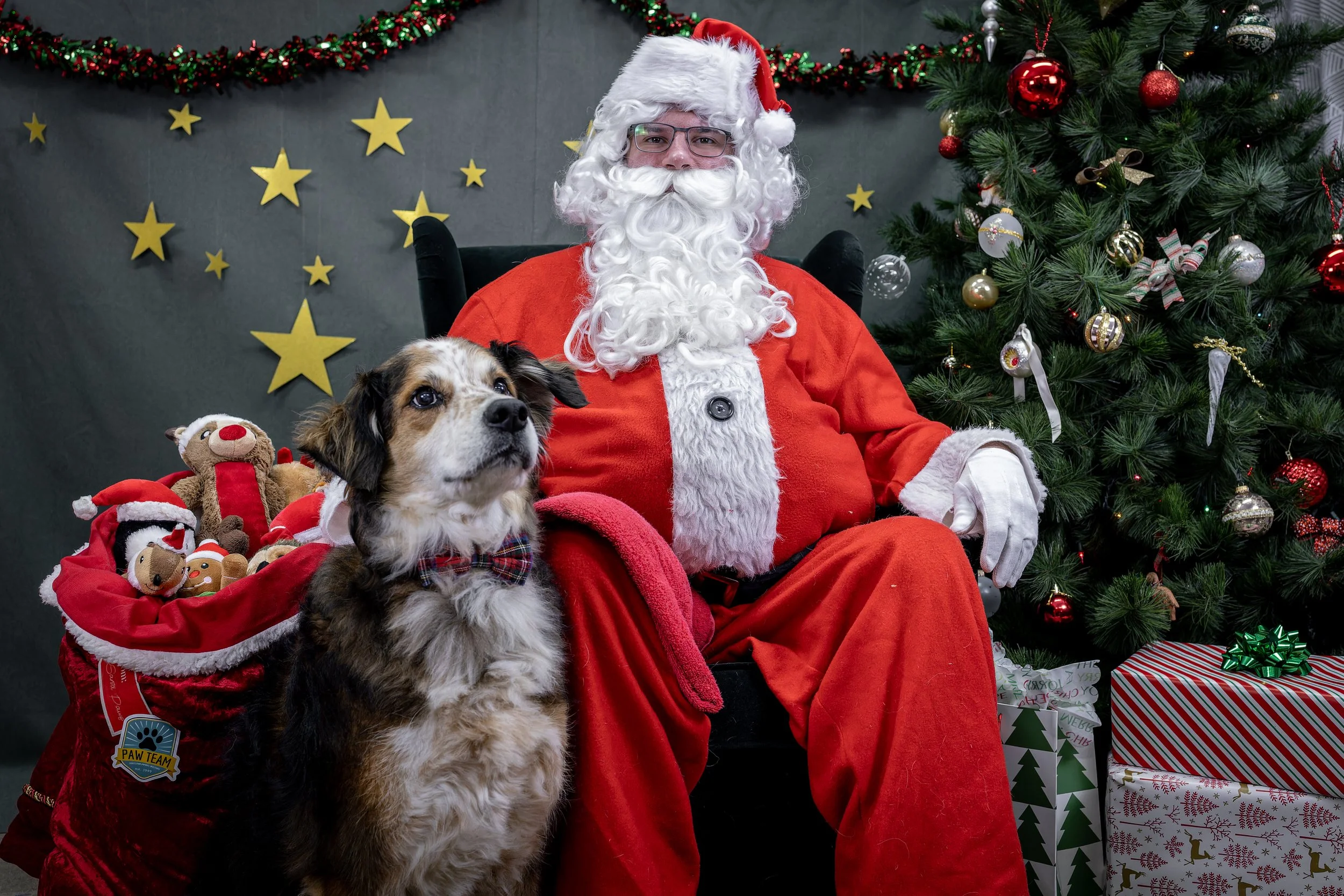 120725_PAWTeam_SantaPaws-028.jpg