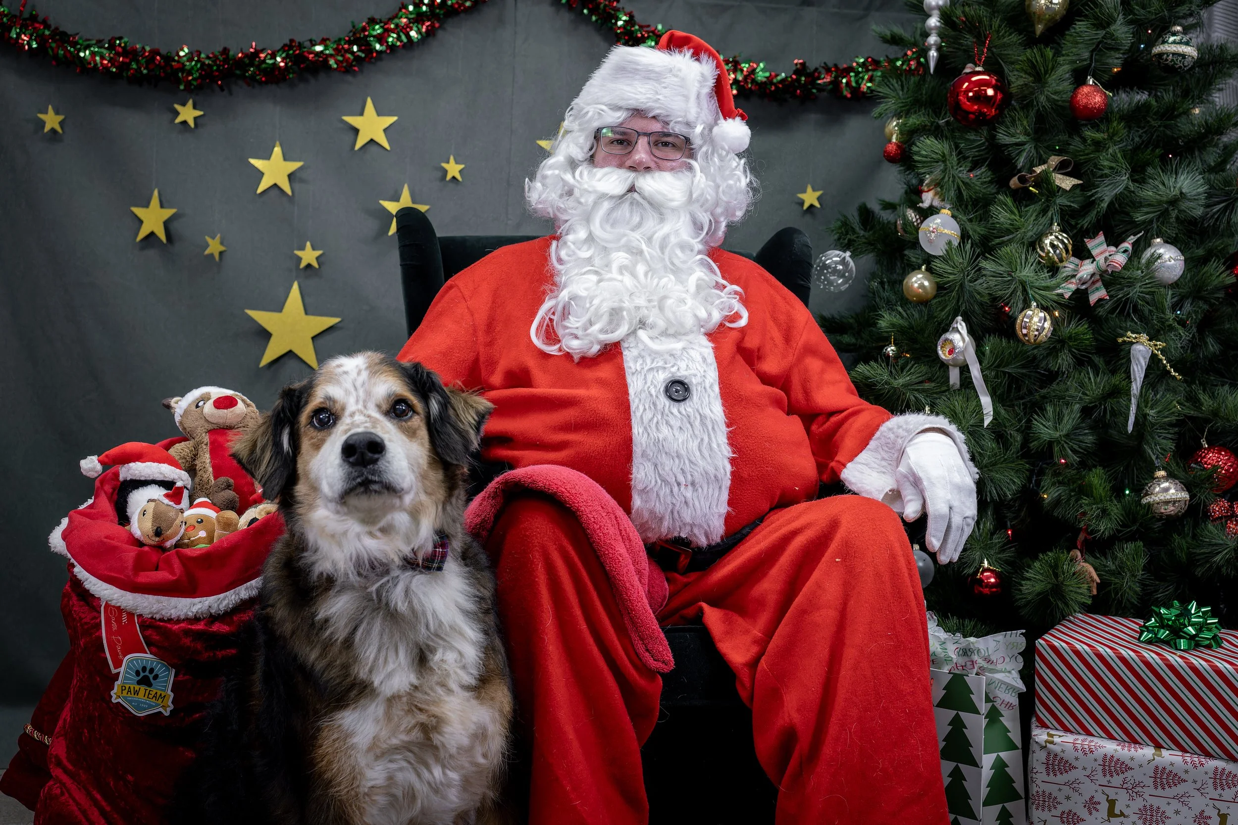 120725_PAWTeam_SantaPaws-029.jpg