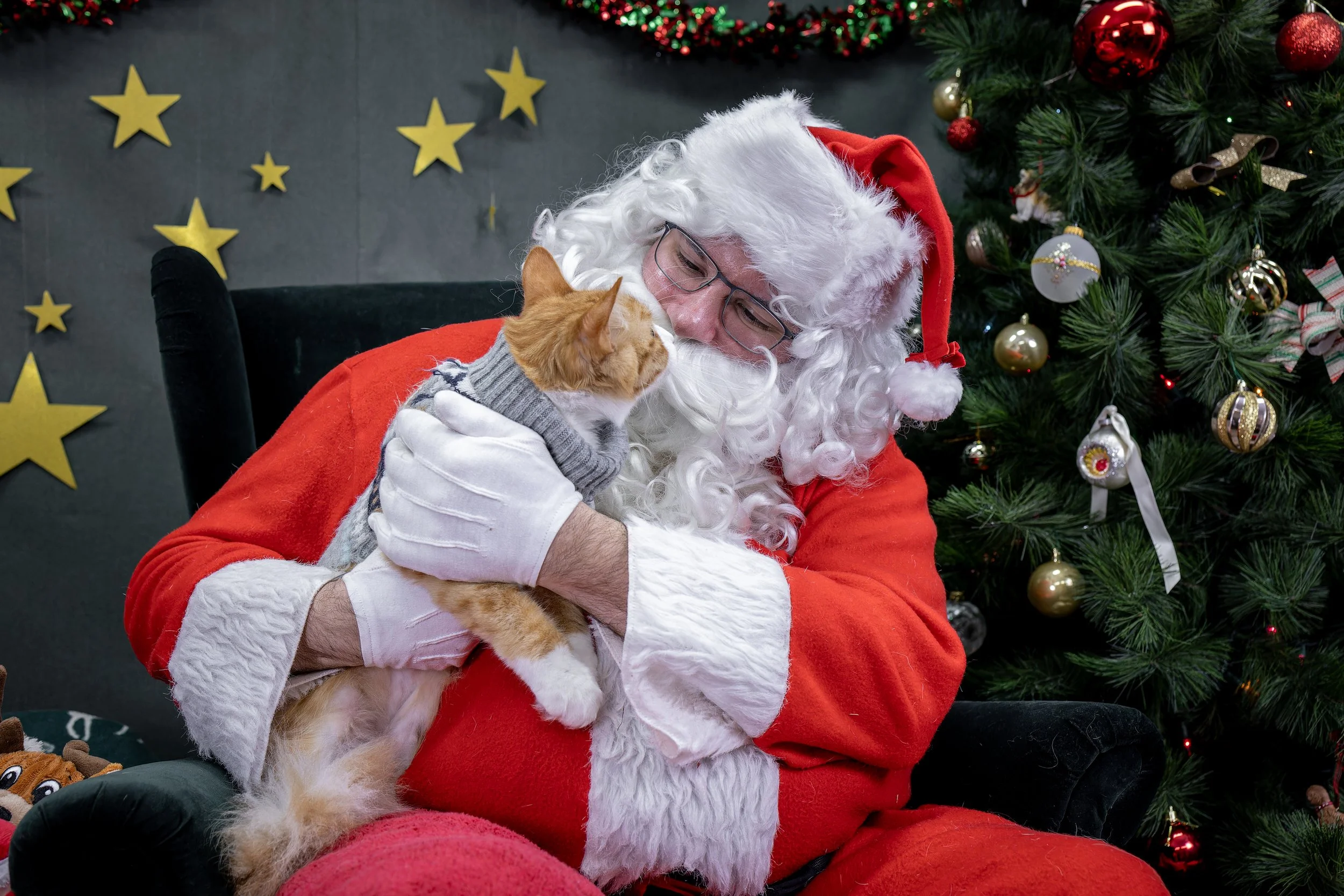 120725_PAWTeam_SantaPaws-031.jpg