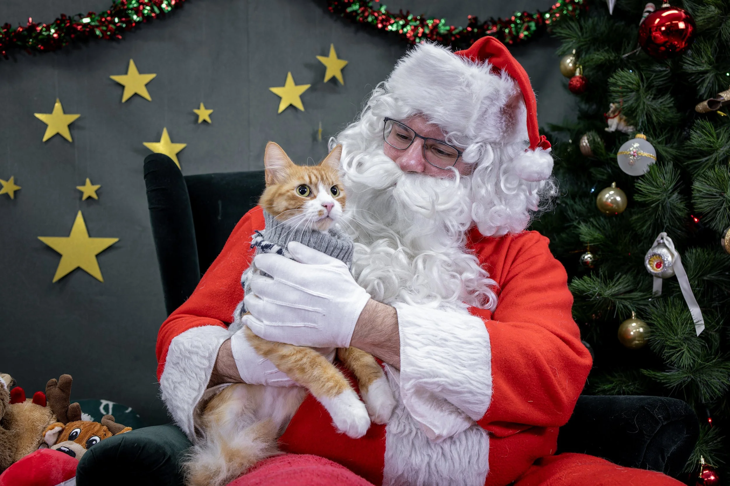 120725_PAWTeam_SantaPaws-032.jpg