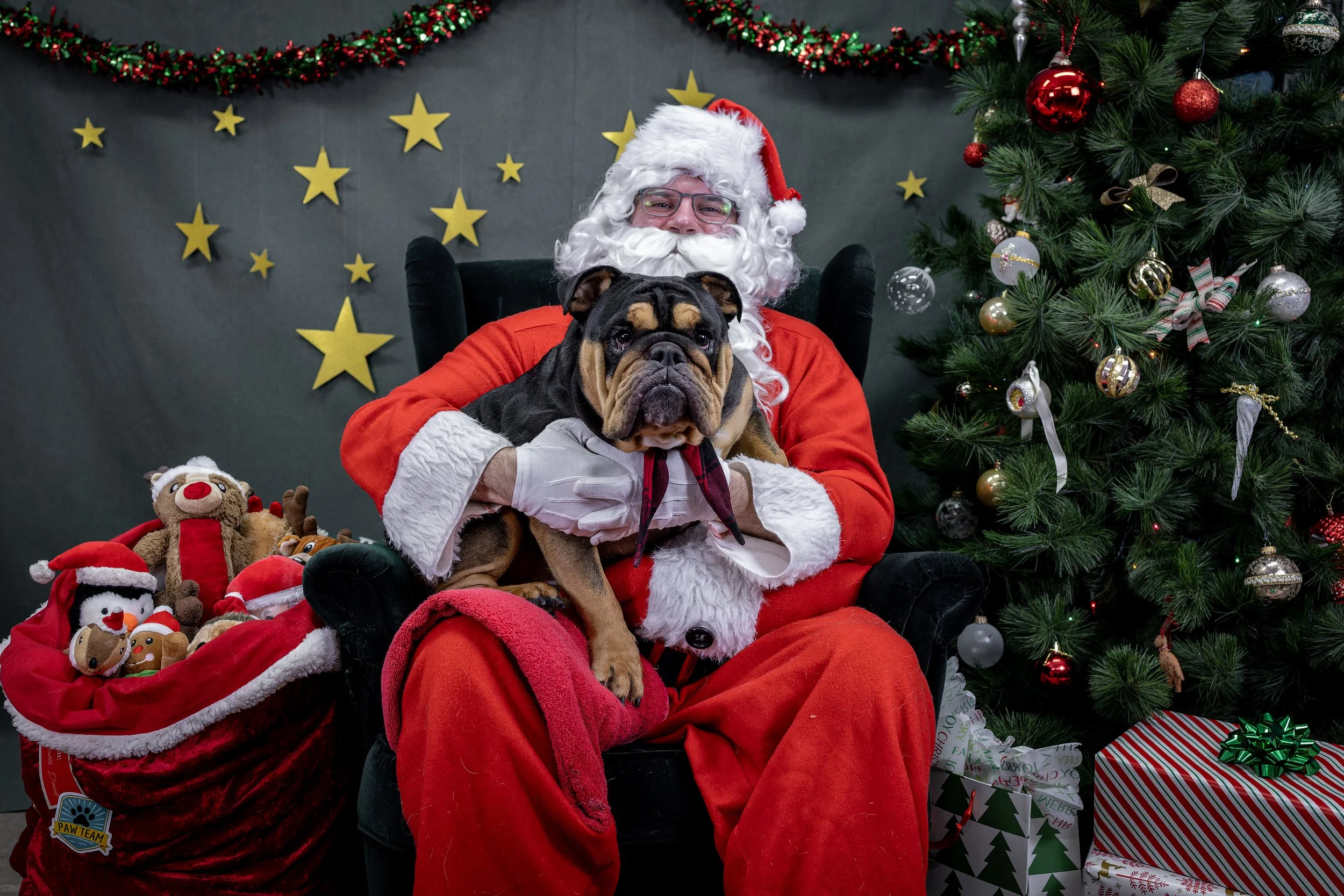 120725_PAWTeam_SantaPaws-034.jpg