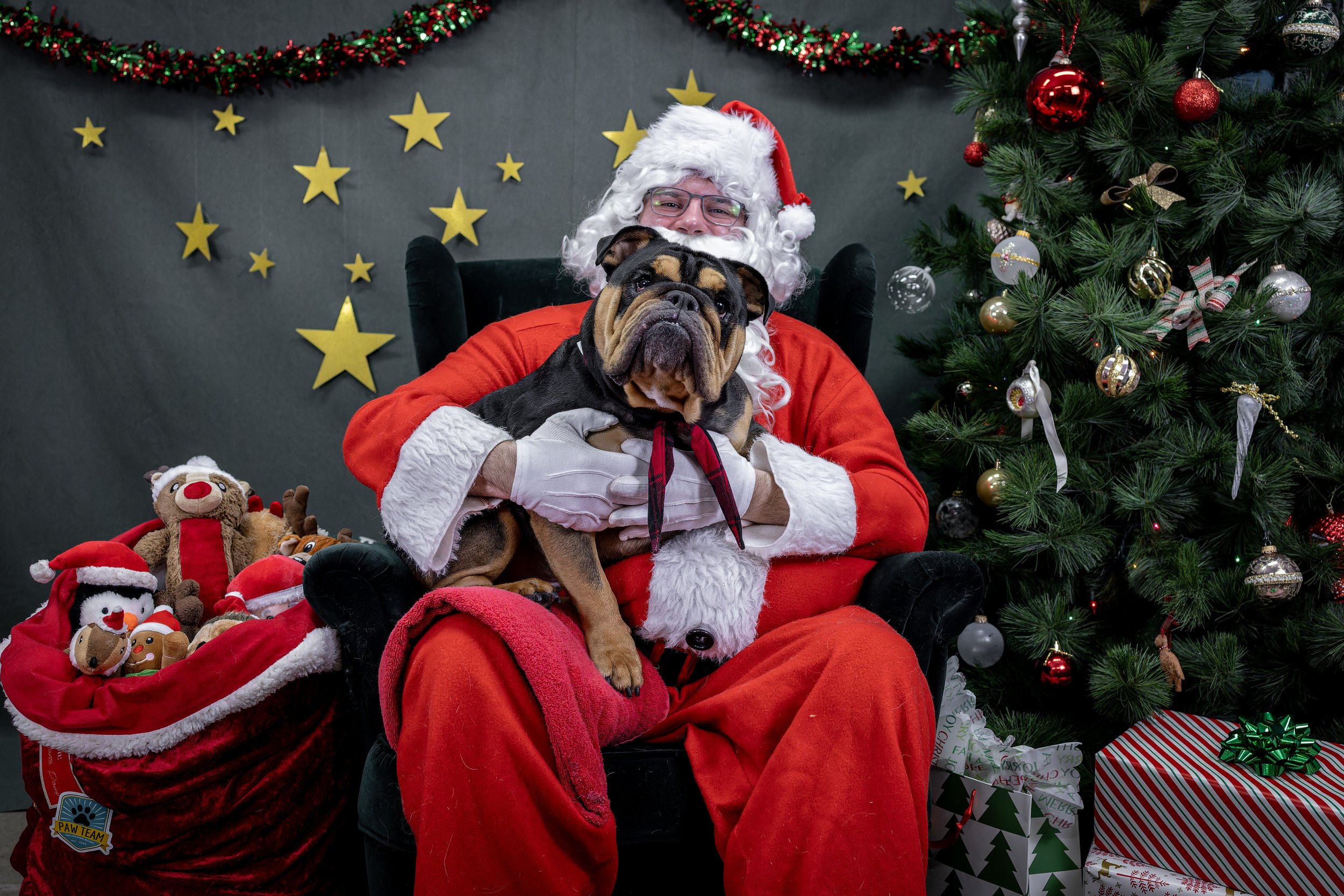 120725_PAWTeam_SantaPaws-035.jpg