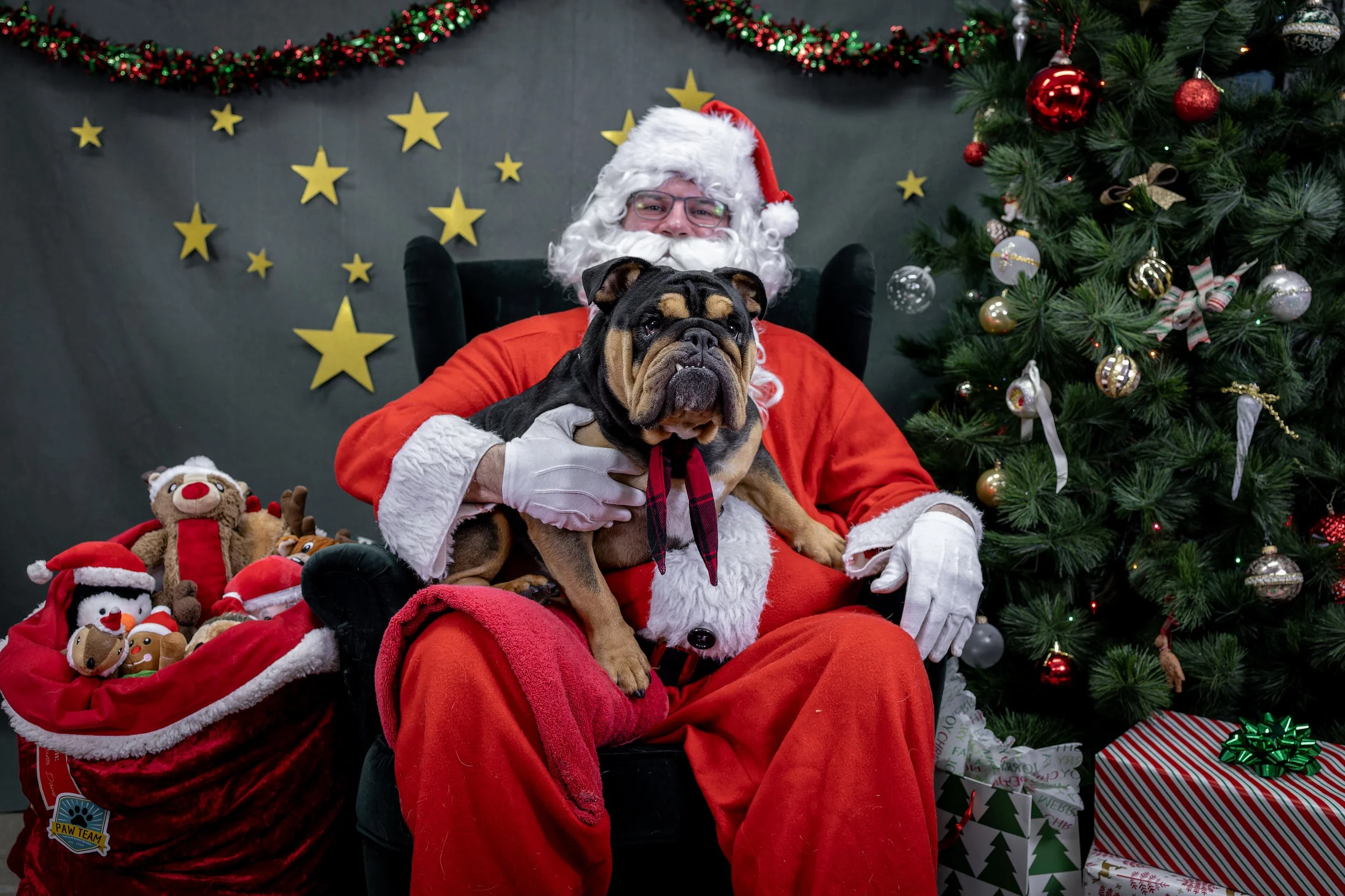 120725_PAWTeam_SantaPaws-036.jpg