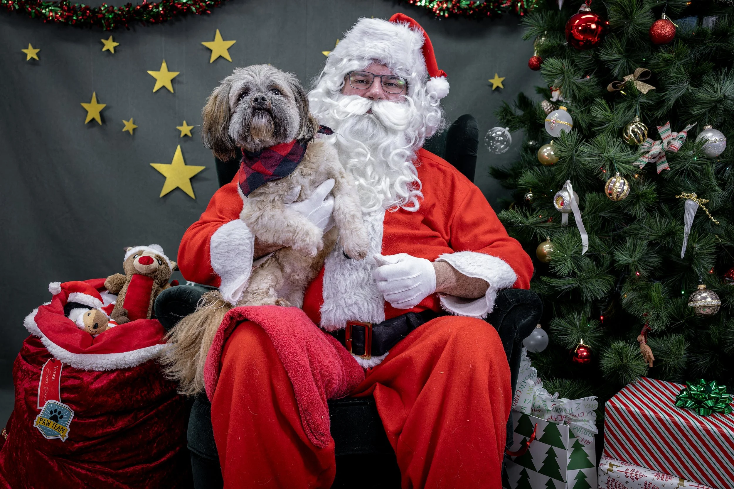 120725_PAWTeam_SantaPaws-038.jpg