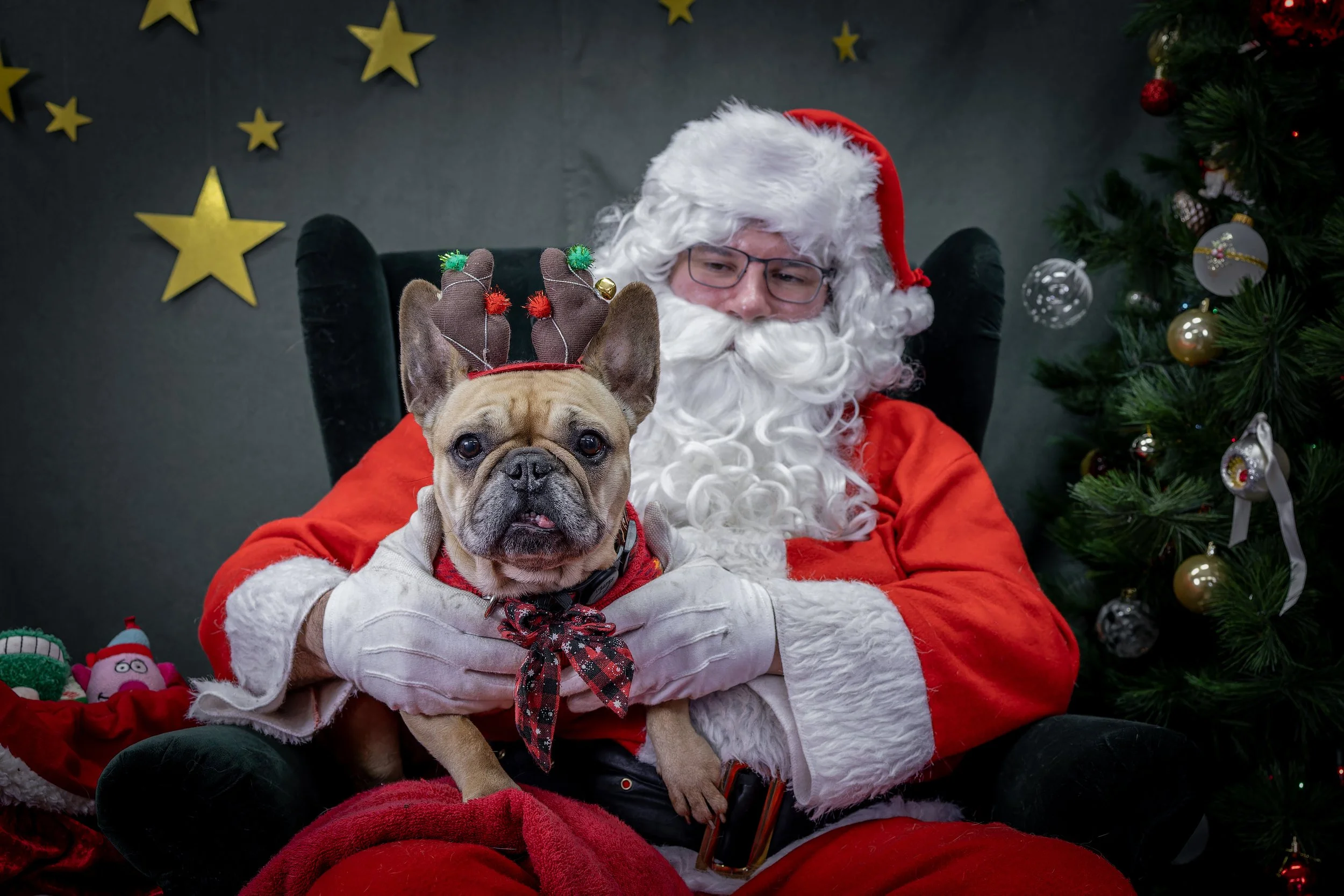 120725_PAWTeam_SantaPaws-302.jpg