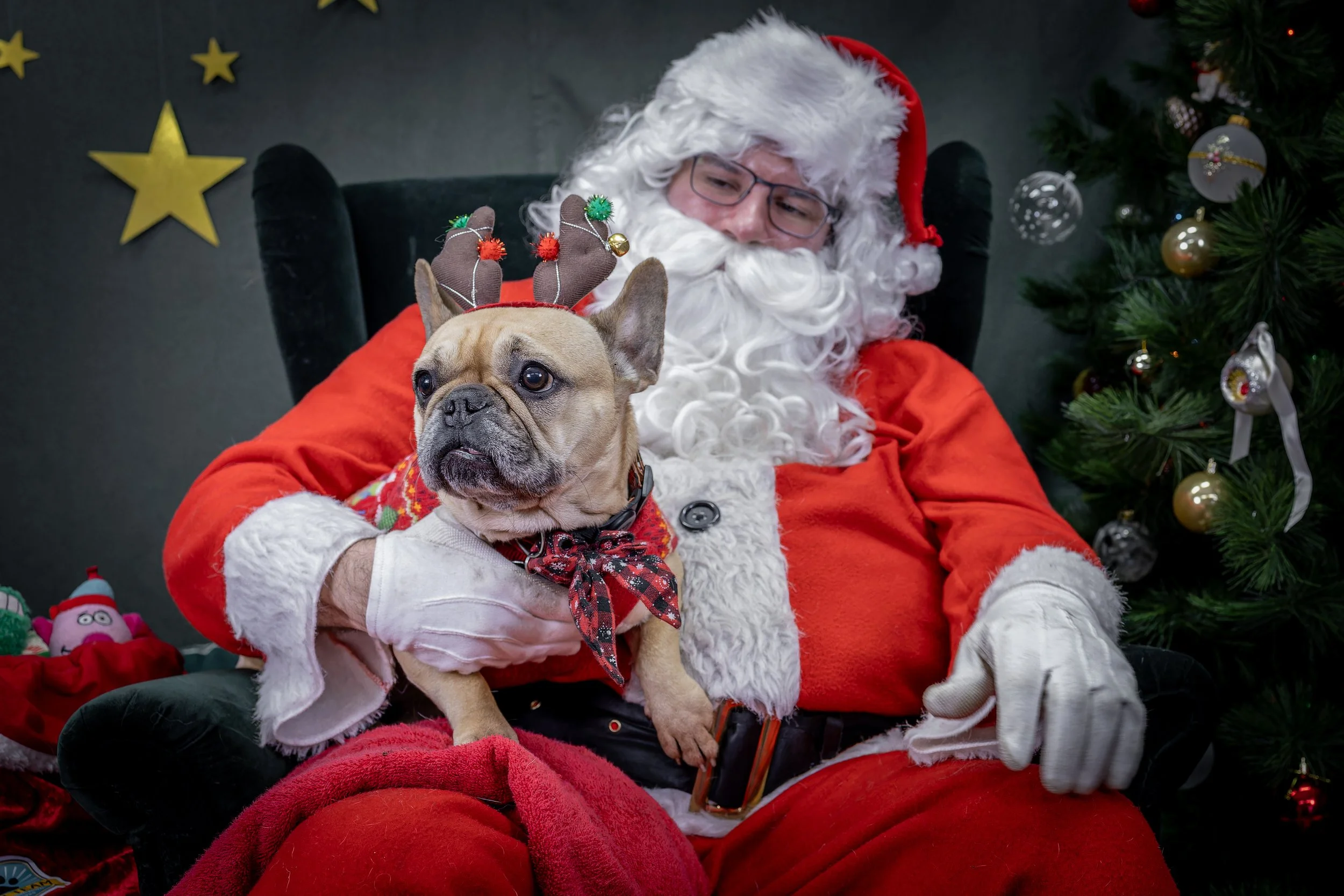 120725_PAWTeam_SantaPaws-303.jpg