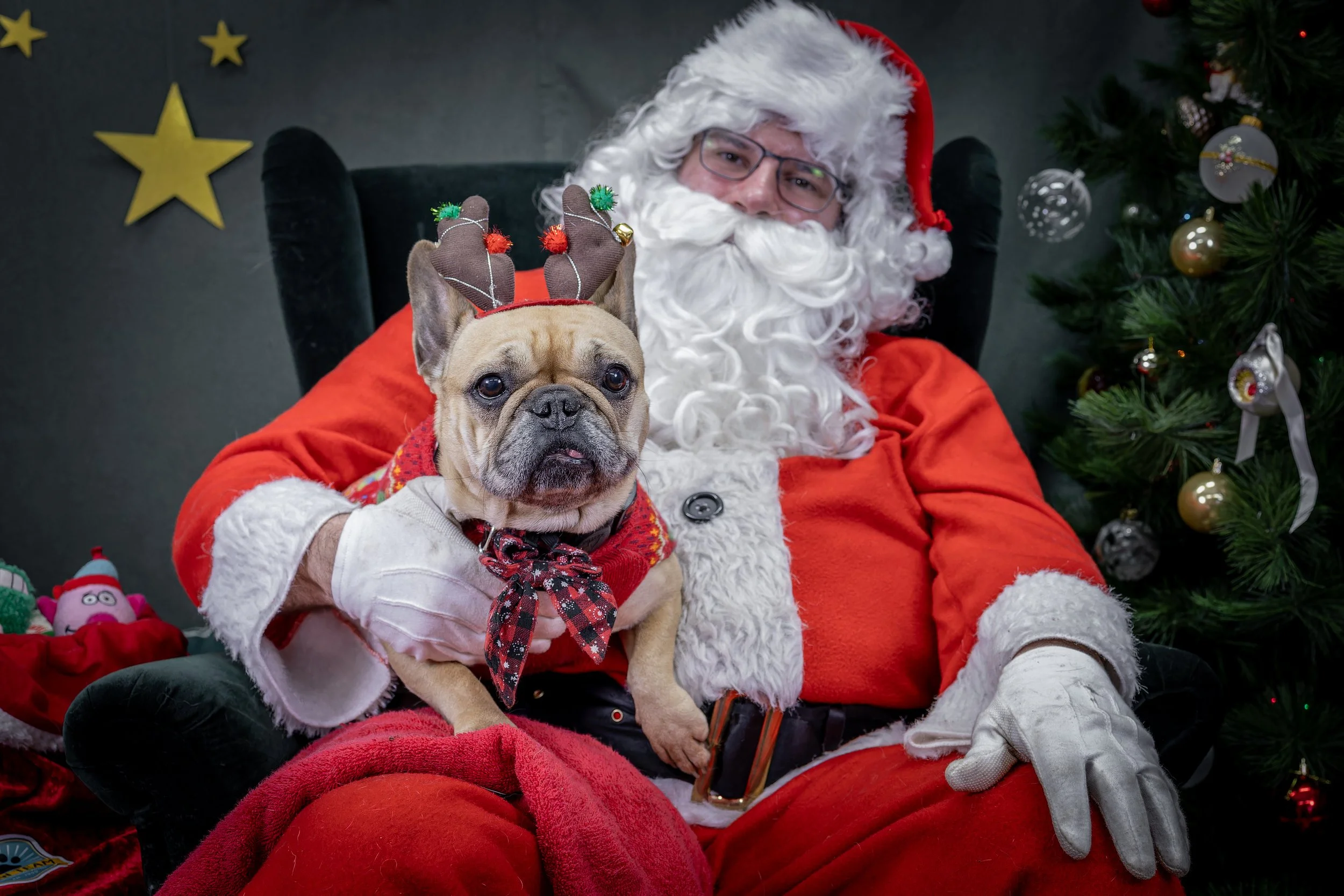 120725_PAWTeam_SantaPaws-304.jpg