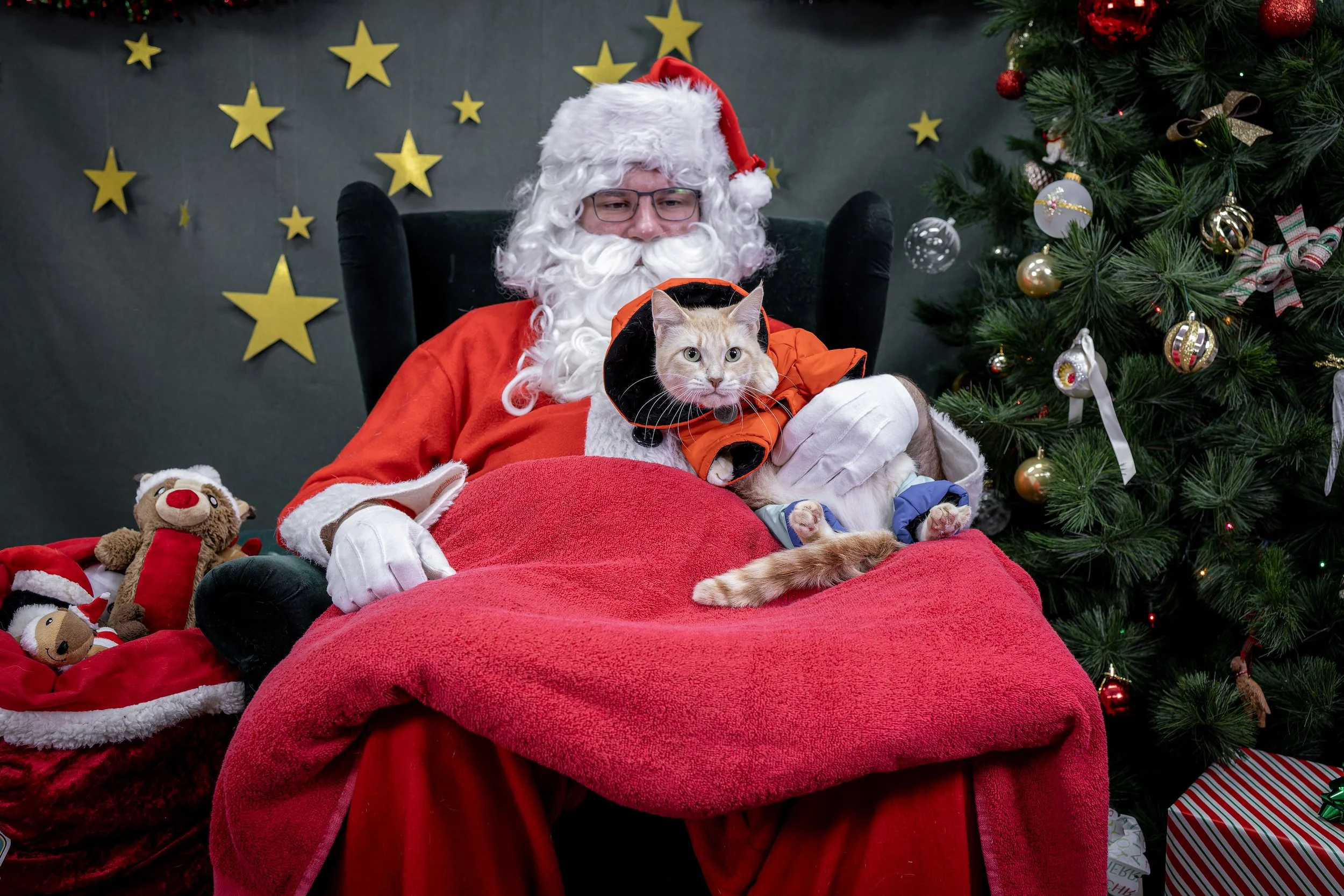 120725_PAWTeam_SantaPaws-042.jpg