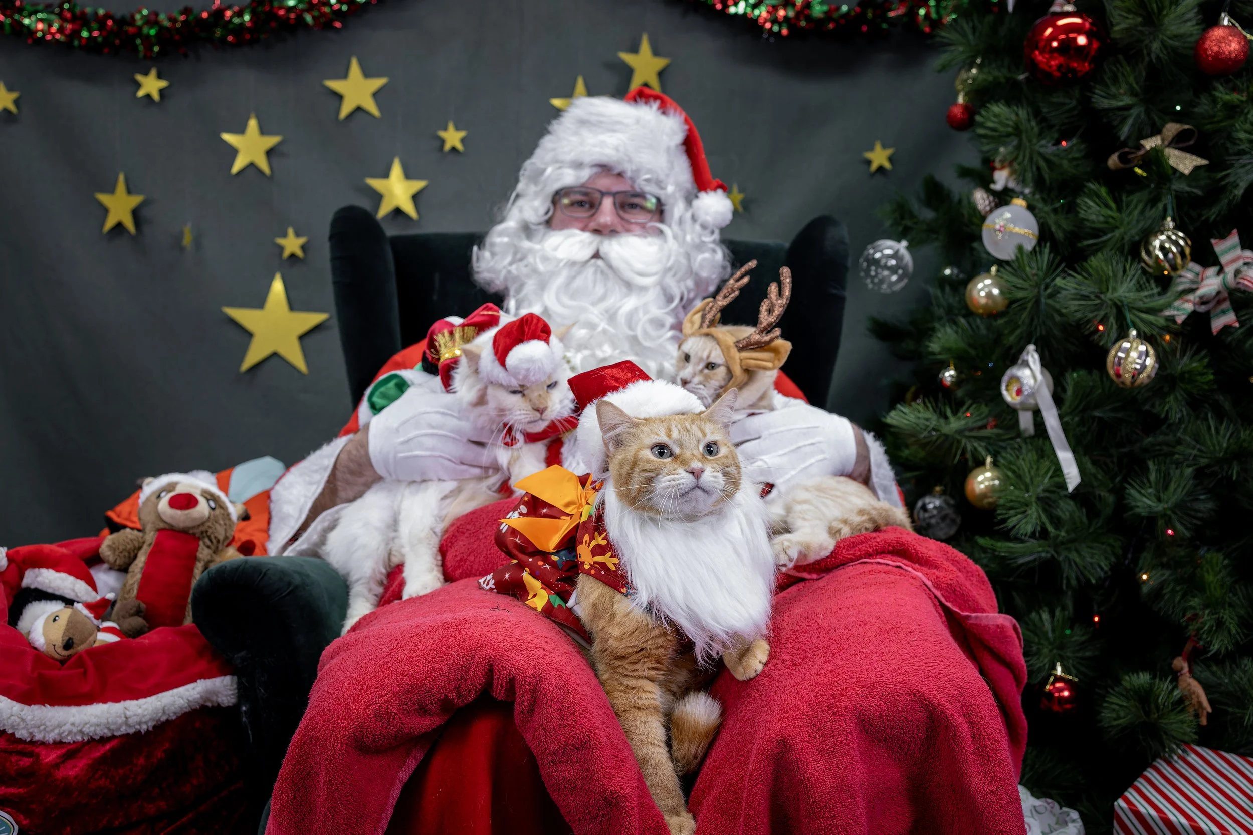 120725_PAWTeam_SantaPaws-043.jpg