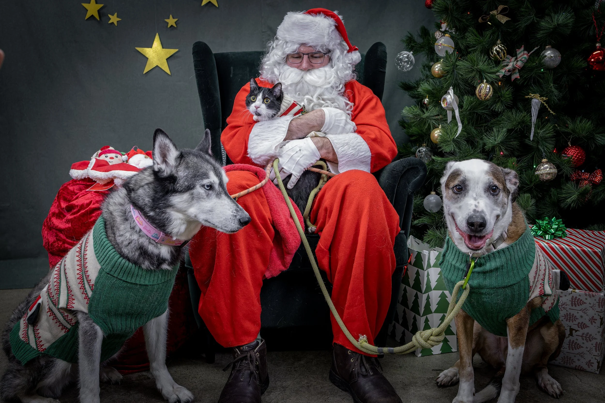 120725_PAWTeam_SantaPaws-308.jpg