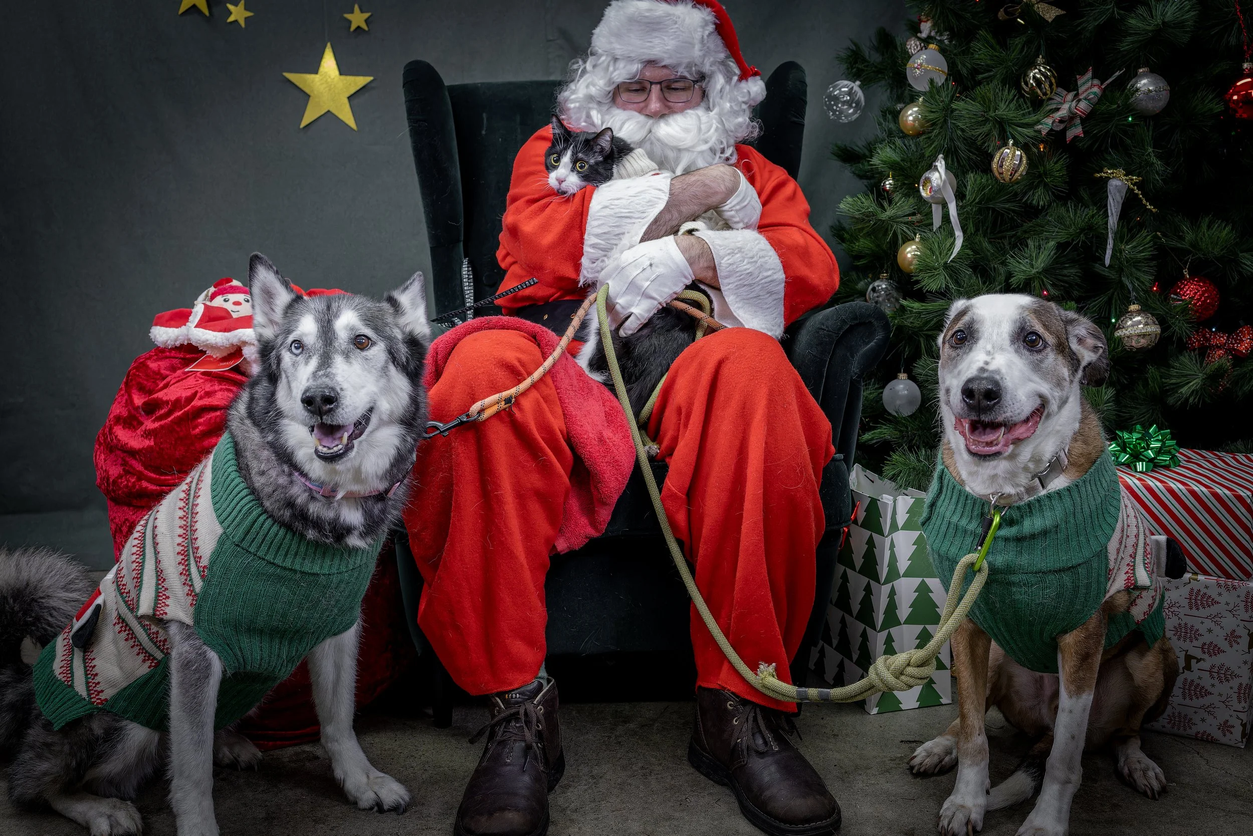 120725_PAWTeam_SantaPaws-309.jpg