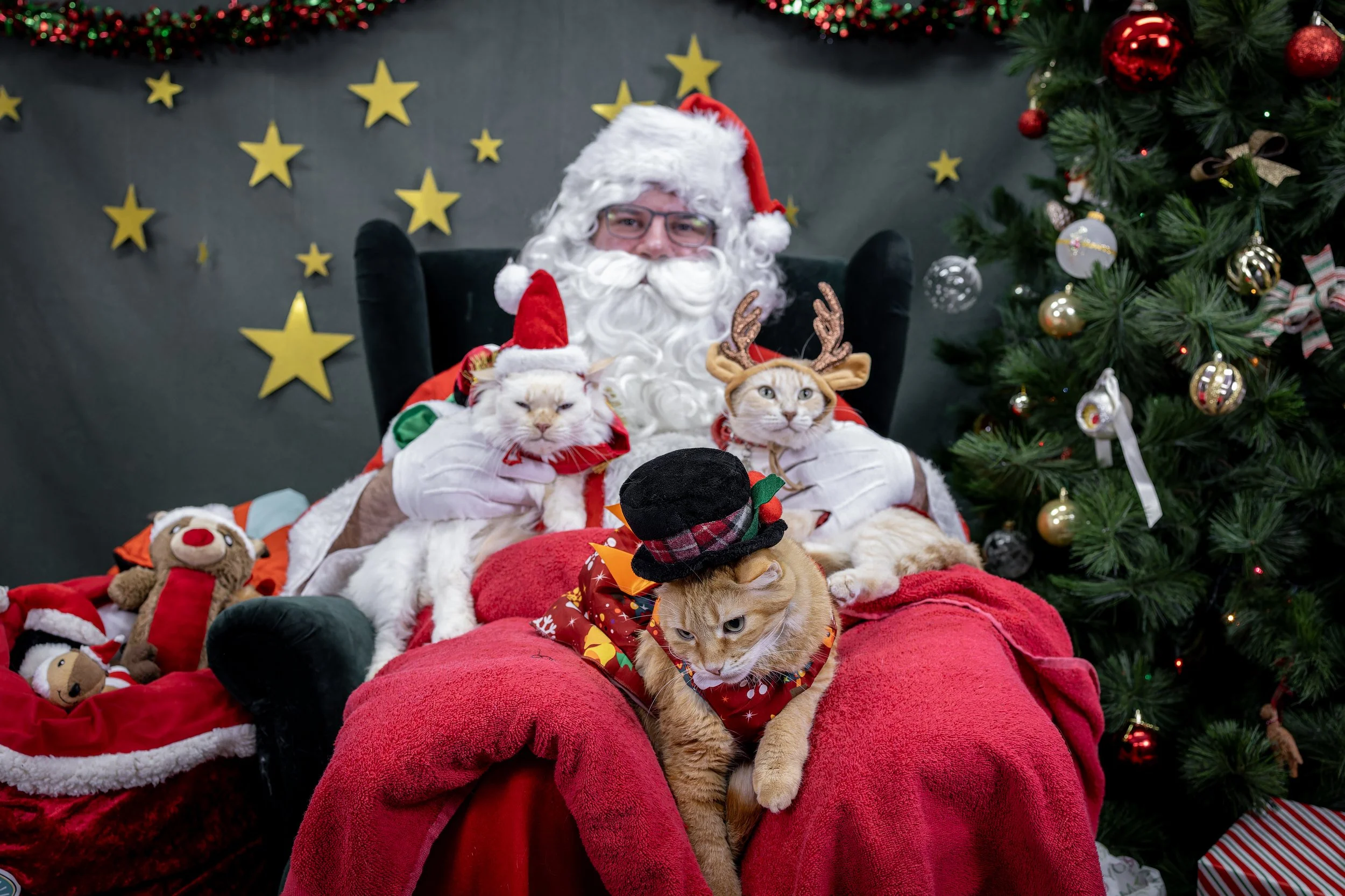 120725_PAWTeam_SantaPaws-044.jpg