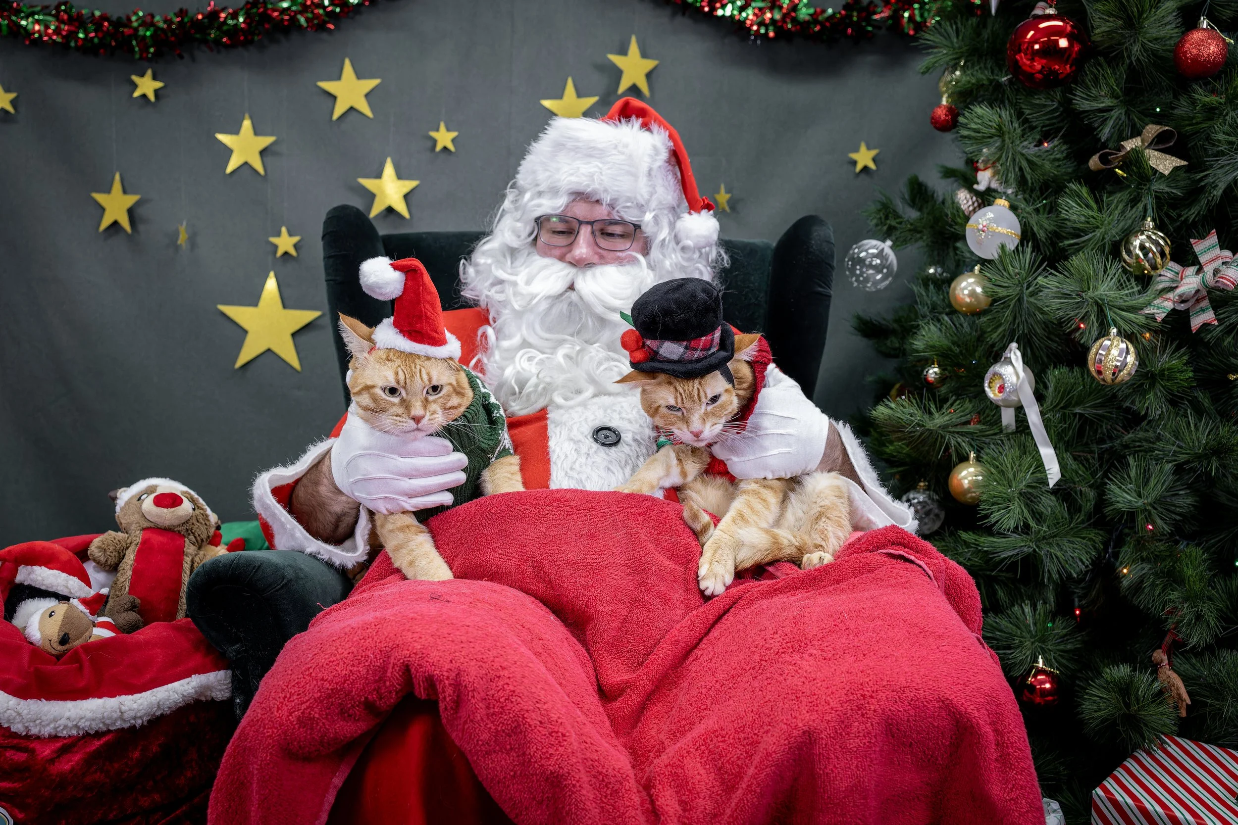 120725_PAWTeam_SantaPaws-045.jpg
