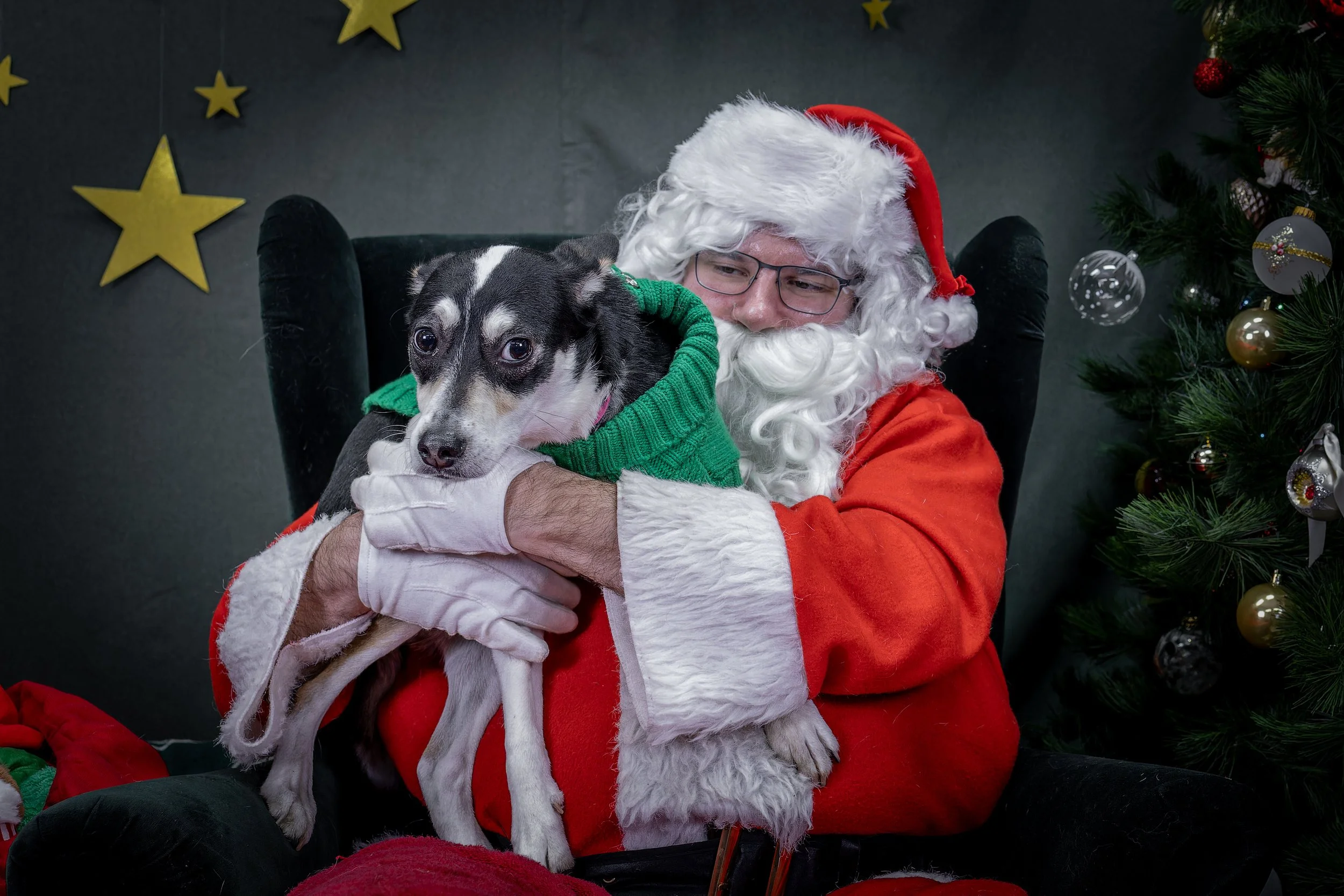 120725_PAWTeam_SantaPaws-312.jpg