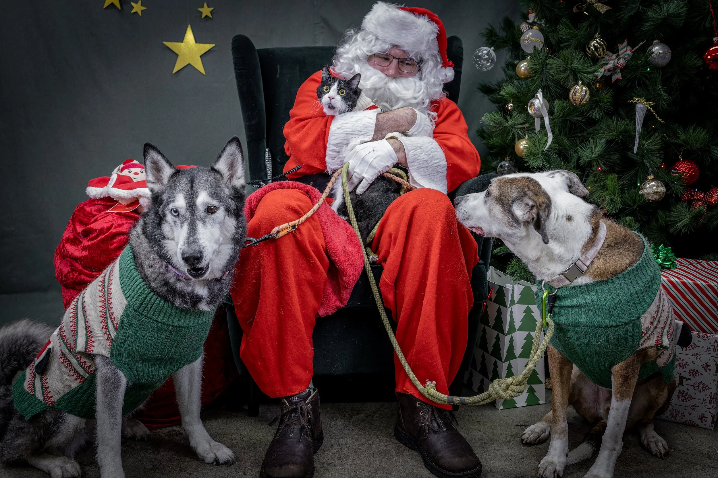 120725_PAWTeam_SantaPaws-310.jpg