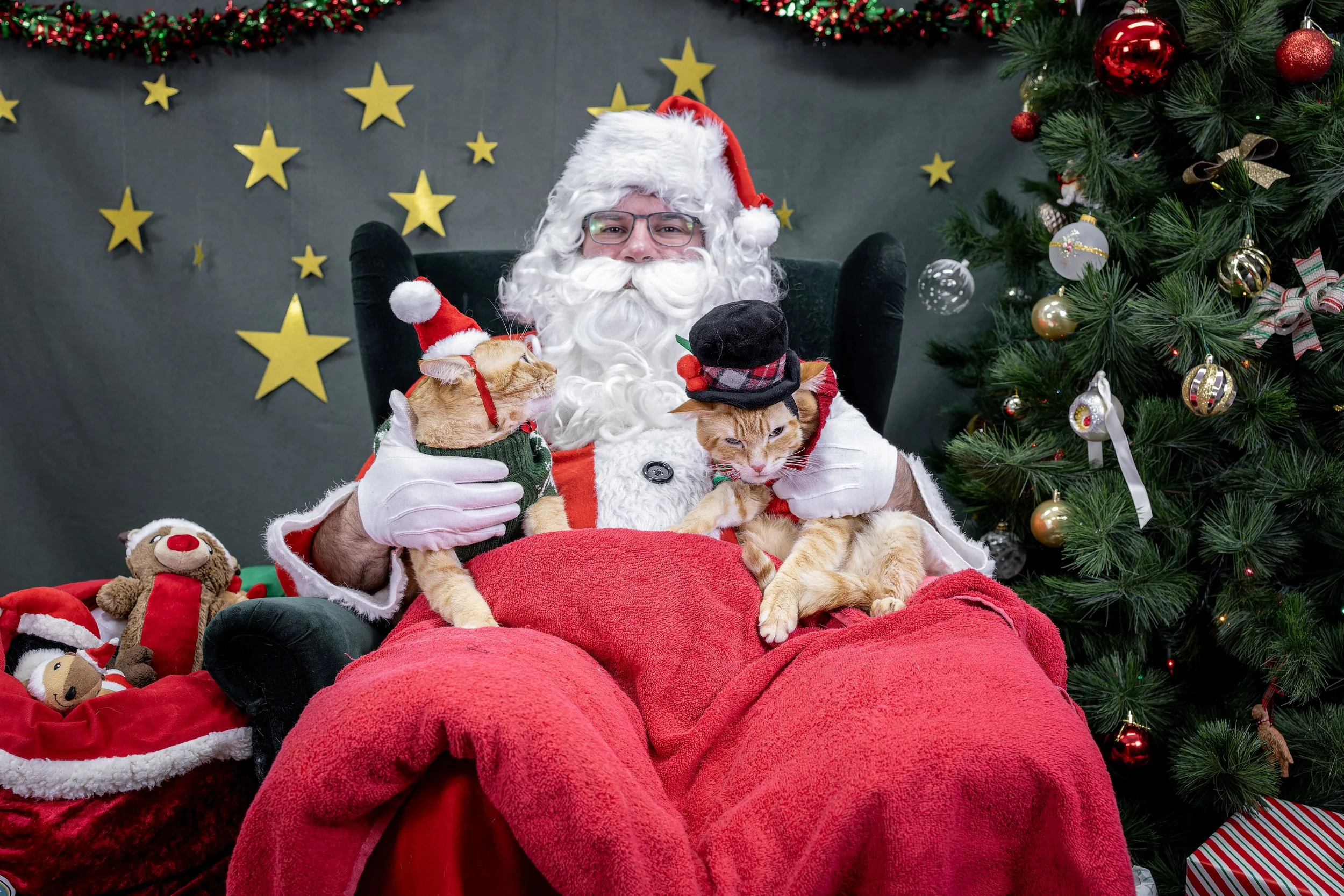120725_PAWTeam_SantaPaws-046.jpg