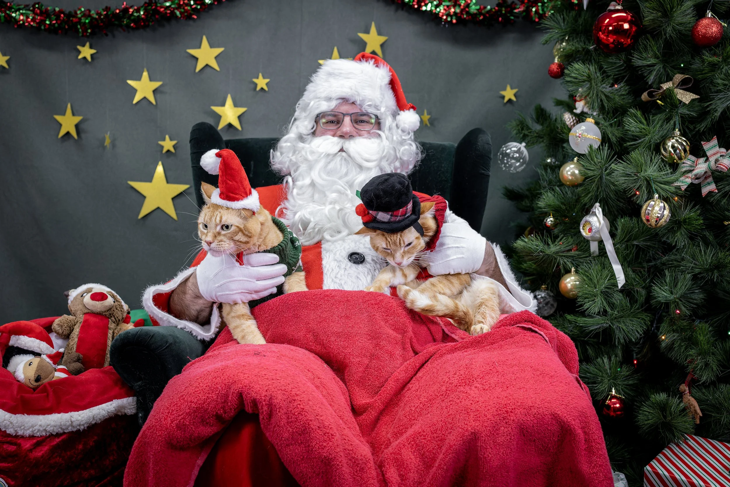 120725_PAWTeam_SantaPaws-047.jpg